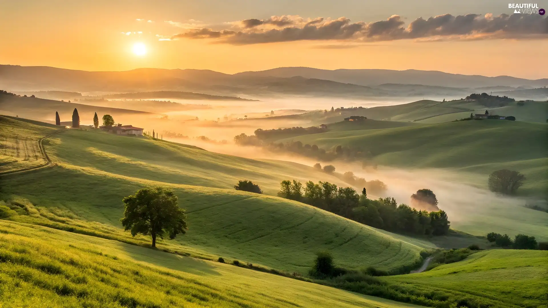 trees, field, Sky, Sunrise, viewes, The Hills