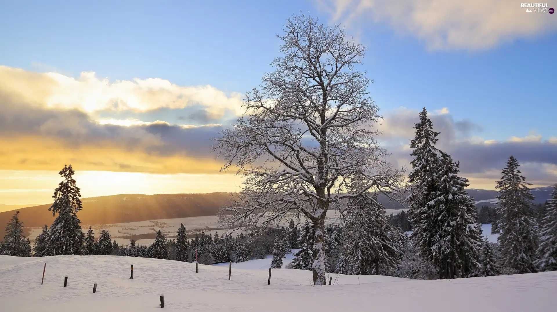 viewes, winter, Sky, Sunrise, The Hills, trees