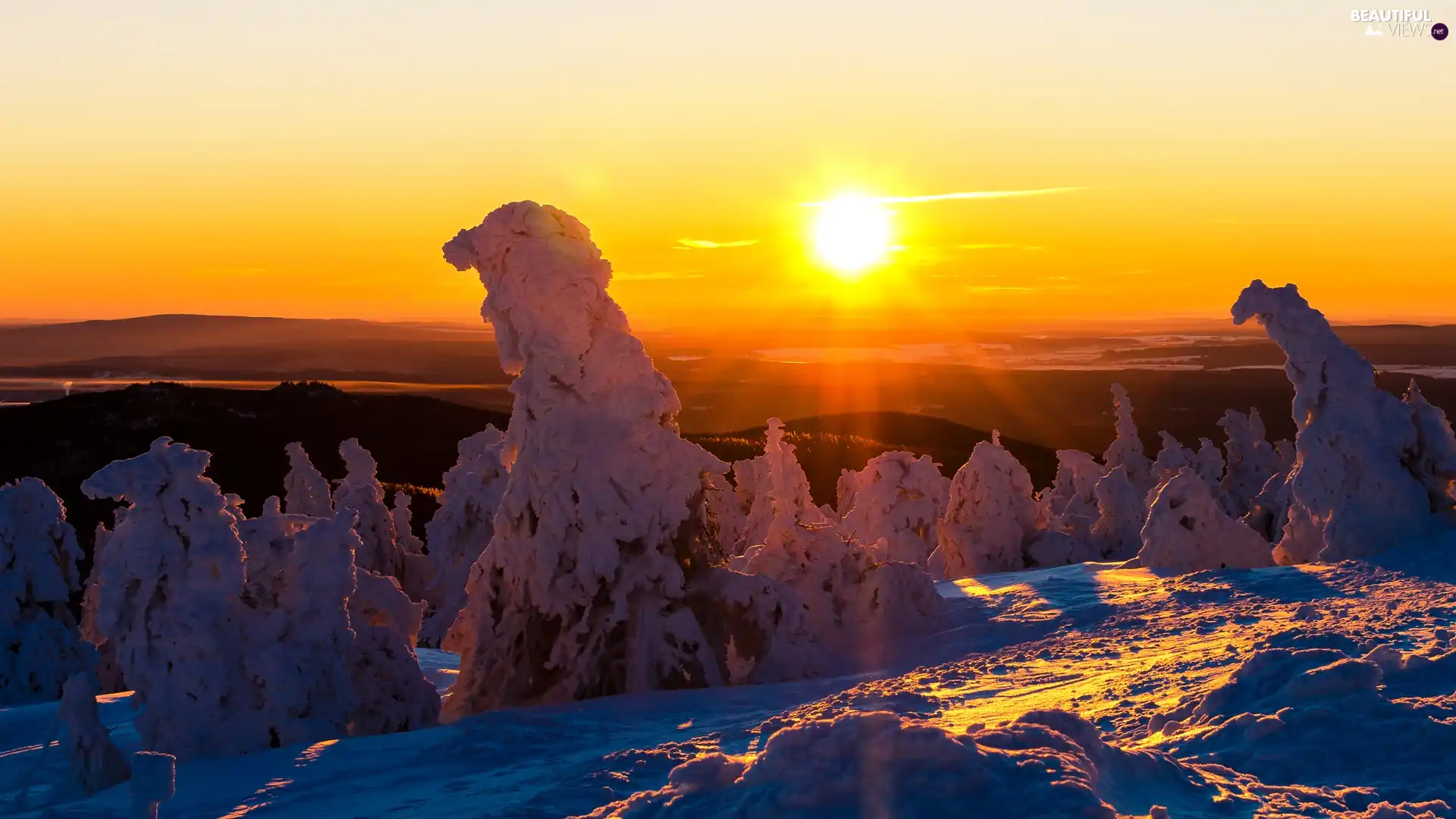 trees, winter, Snowy, Sunrise, viewes, snow