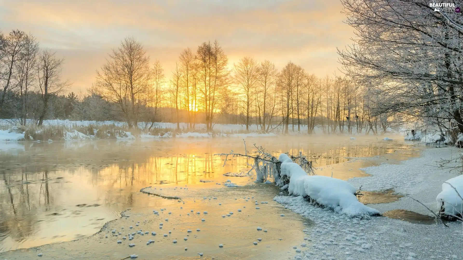 lake, winter, viewes, Sunrise, trees, Snowy