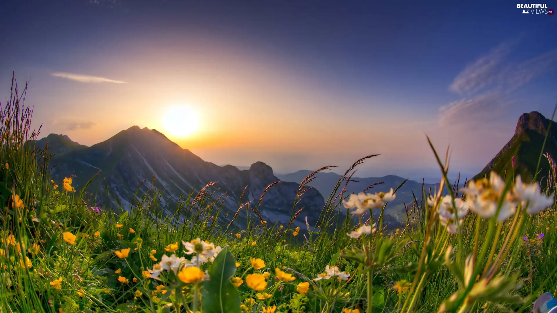 Sunrise, Spring, Meadow, Flowers, Mountains - Beautiful views ...