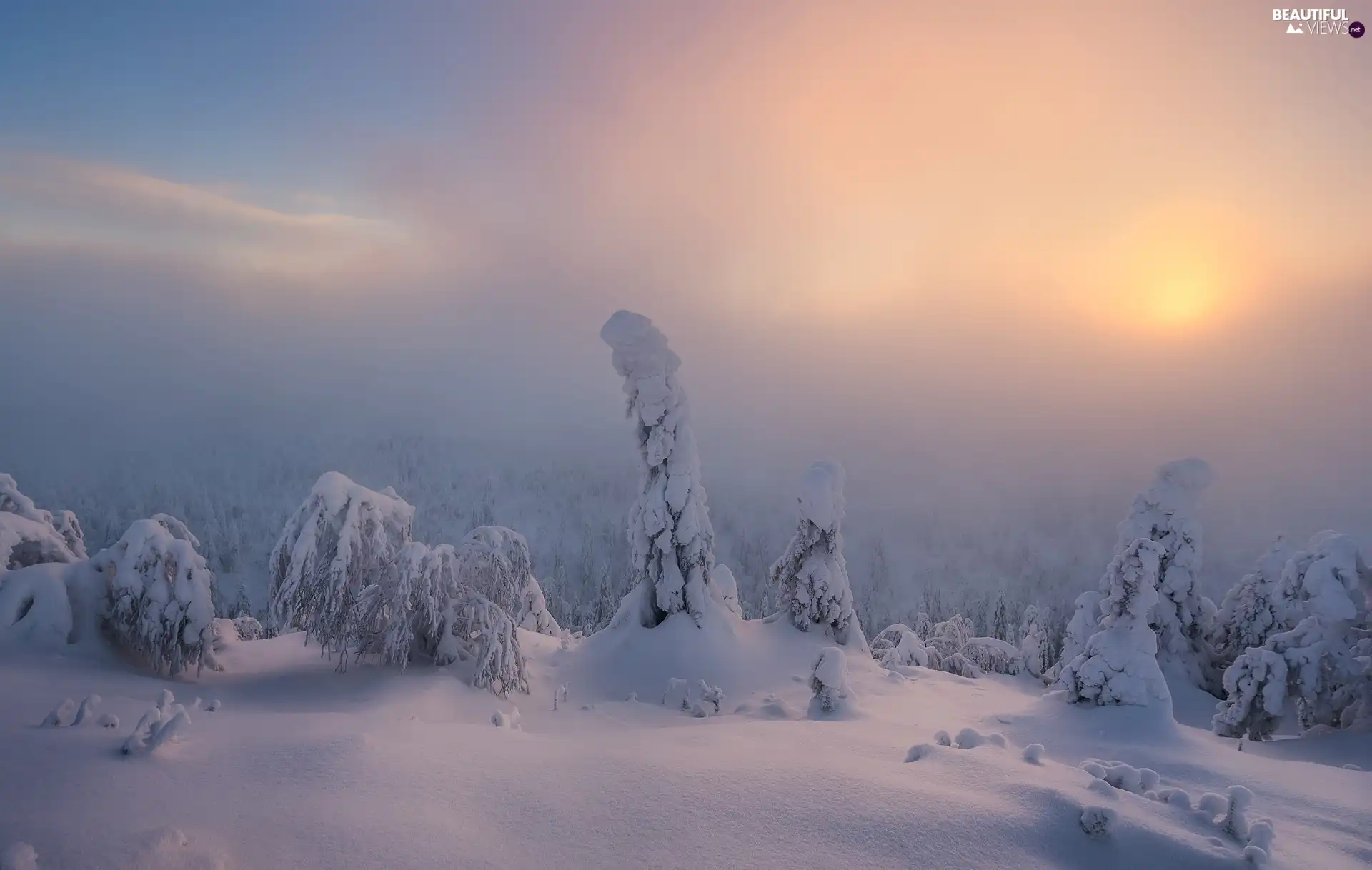 viewes, winter, clouds, Sunrise, Fog, trees