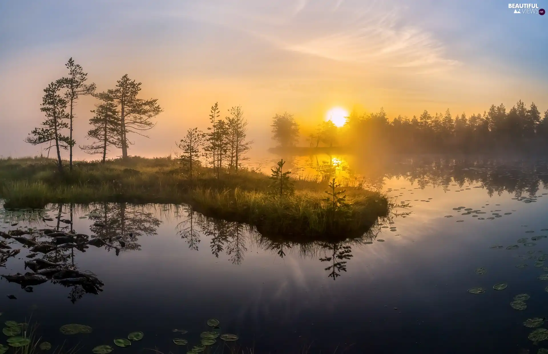 Fog, Sunrise, trees, viewes, lake