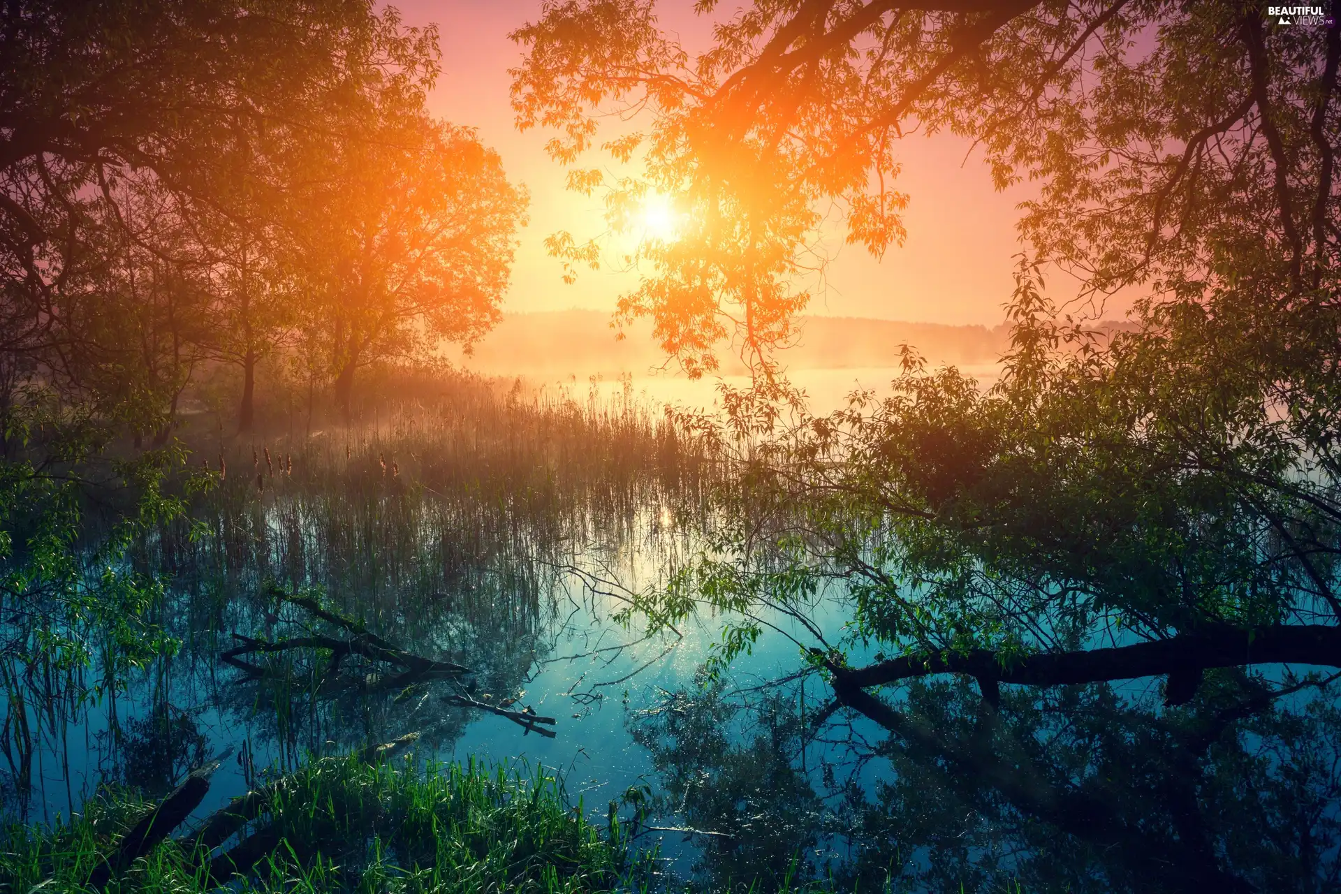 Trees Lake Sunrise Viewes Beautiful Views Wallpapers 2560x1706