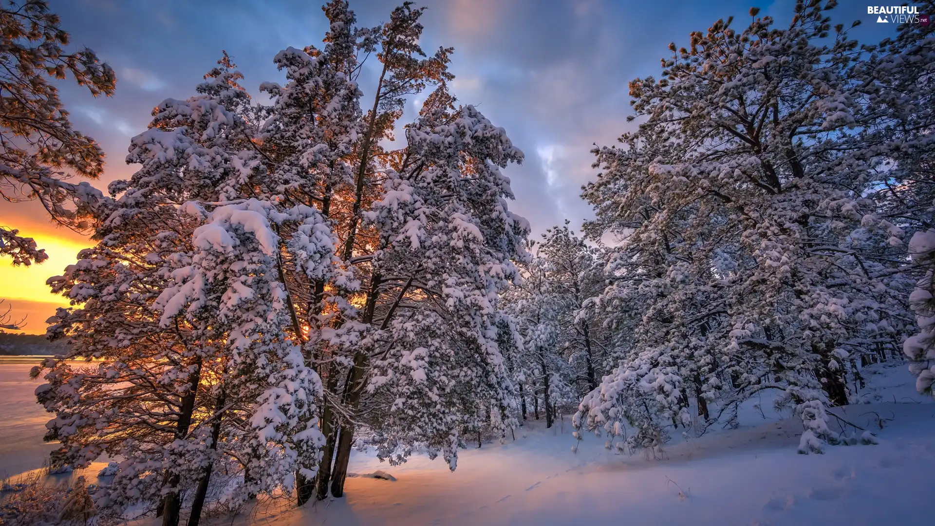 viewes, Snowy, snow, Sunrise, winter, trees