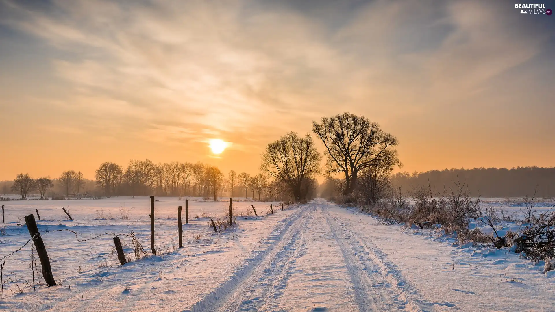 trees, winter, fence, Sunrise, viewes, Way