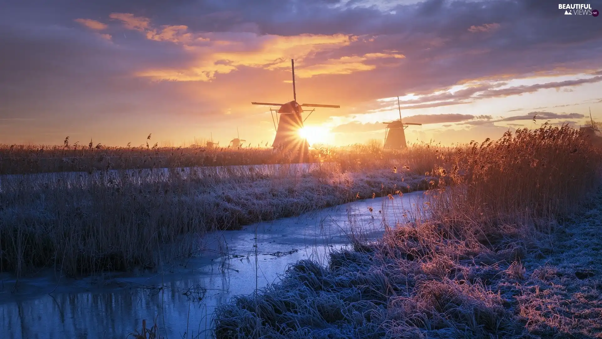 rushes, Sunrise, Windmills, grass, River