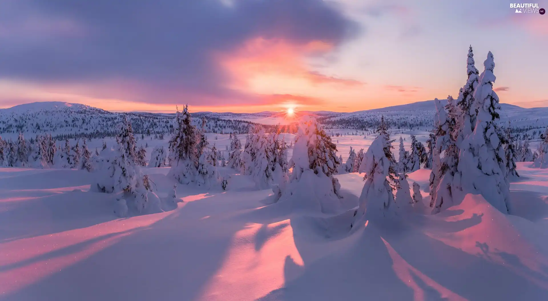 viewes, The Hills, Sunrise, trees, winter