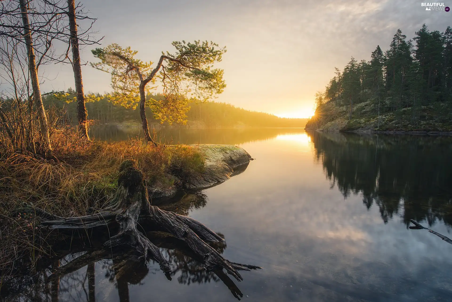 viewes, Sunrise, woods, trees, lake