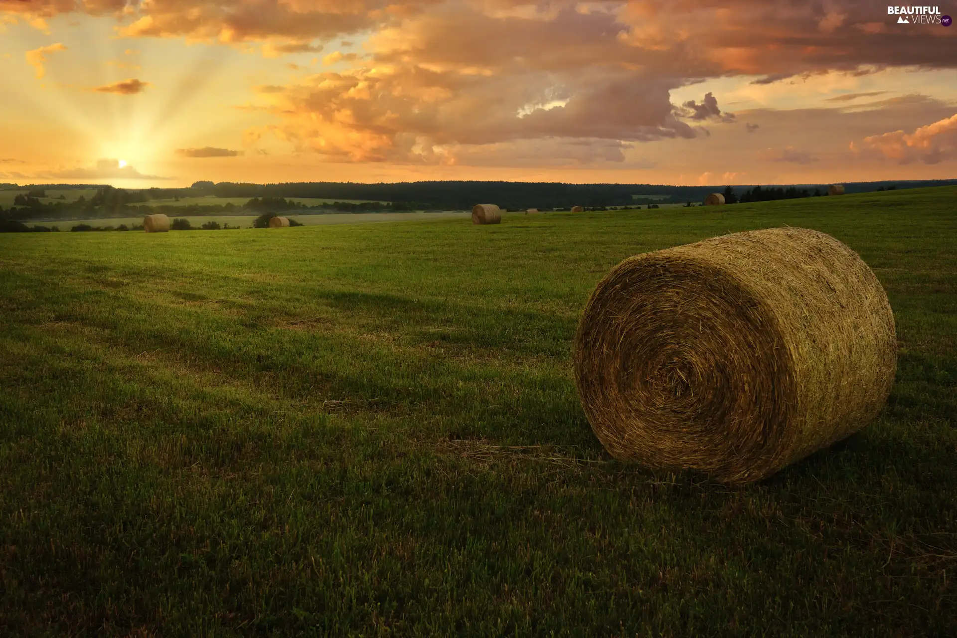 Great Sunsets, Bele, Hay, Field