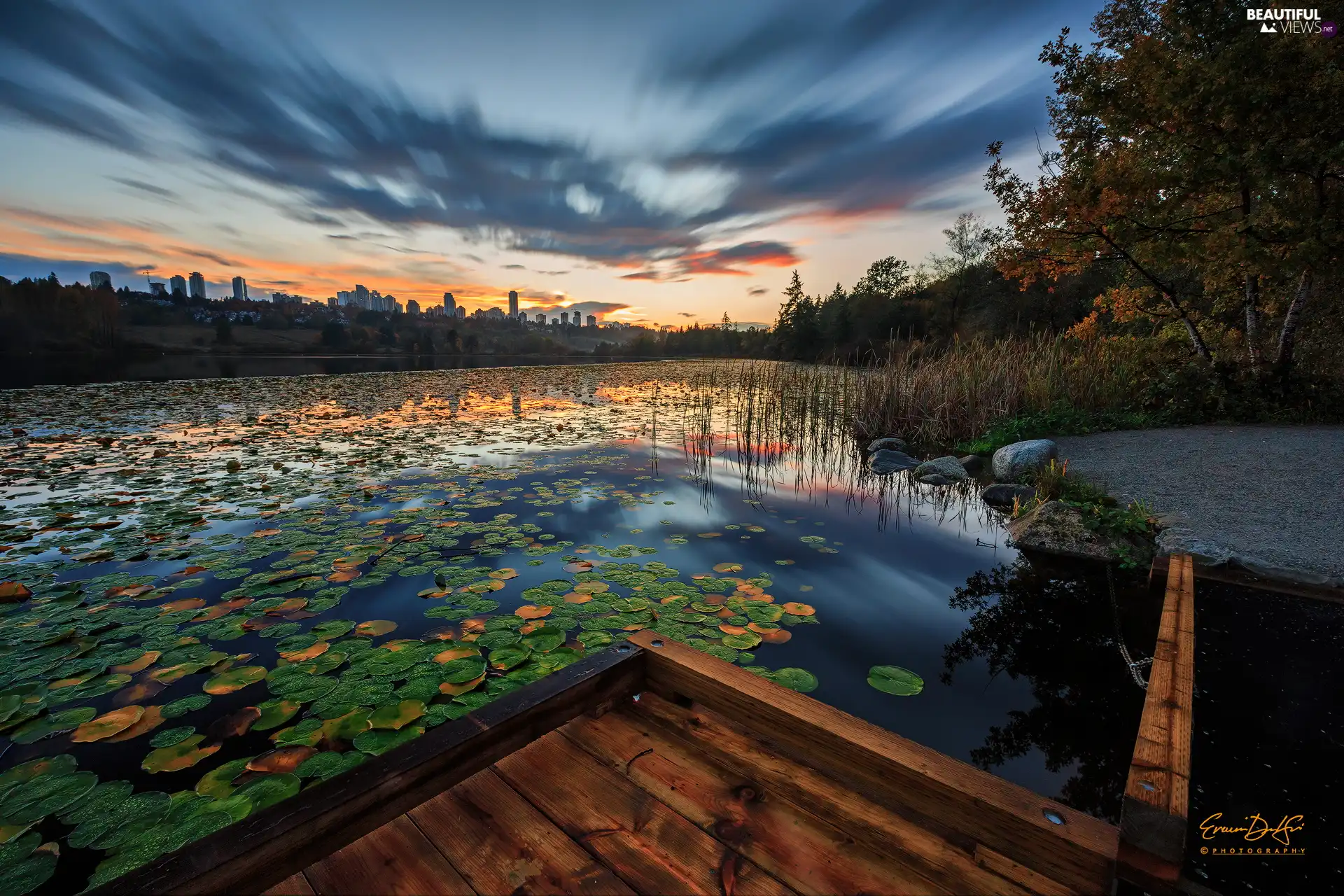 Water lilies, clouds, Pond - car, Leaf, Great Sunsets