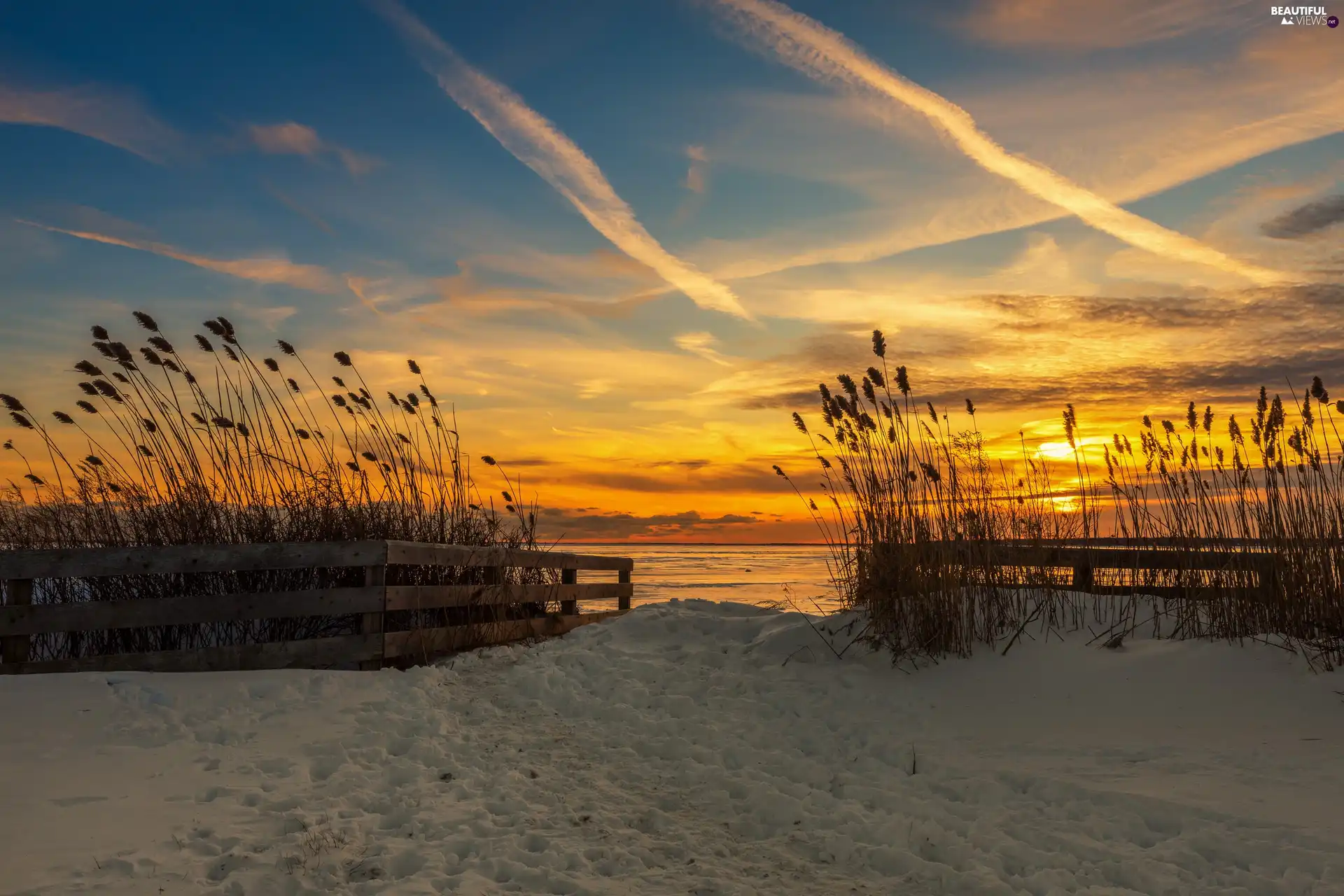 Plants, Beaches, fence, snow, sea, grass, Great Sunsets