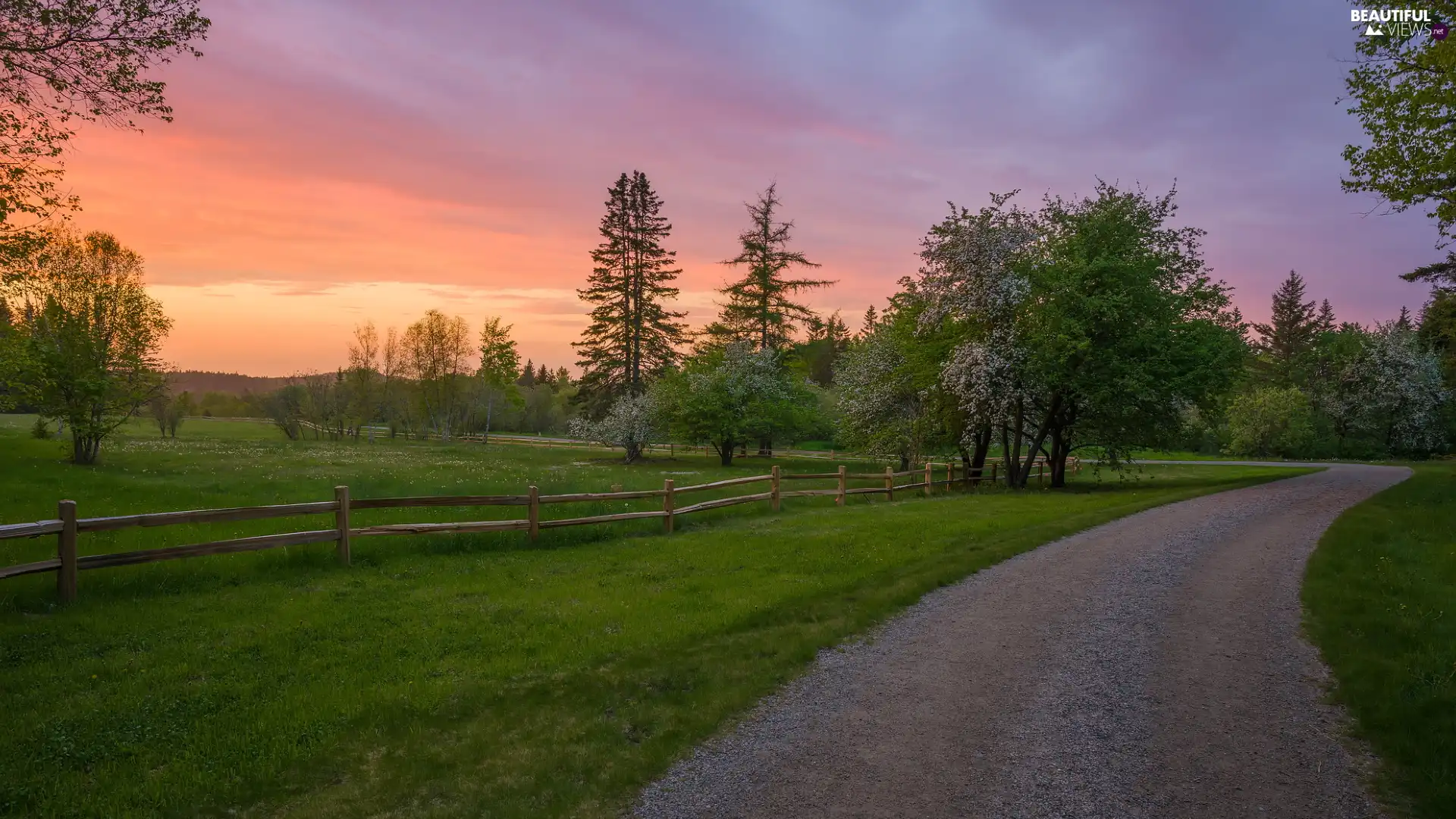 viewes, Way, fence, trees, Spring, Meadow, Great Sunsets