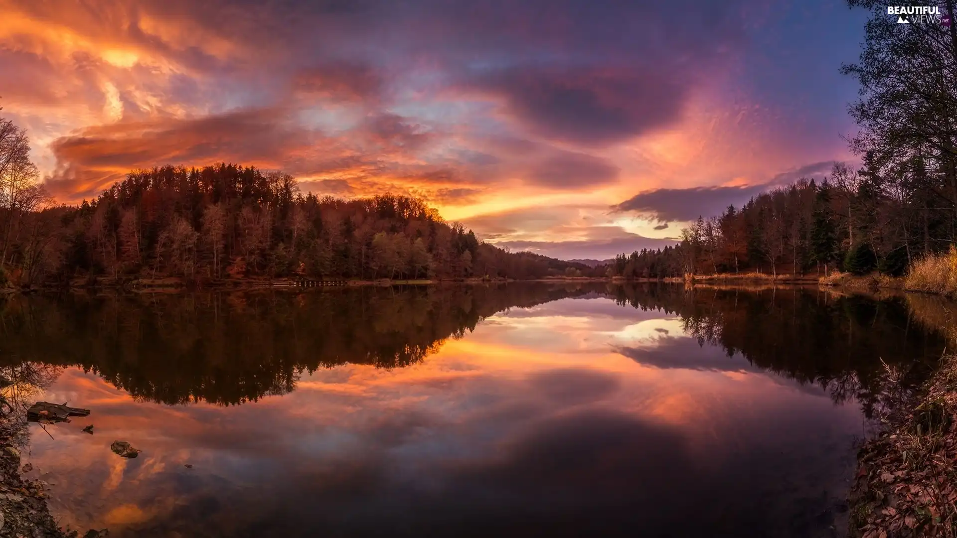 trees, lake, Great Sunsets, clouds, viewes, forest