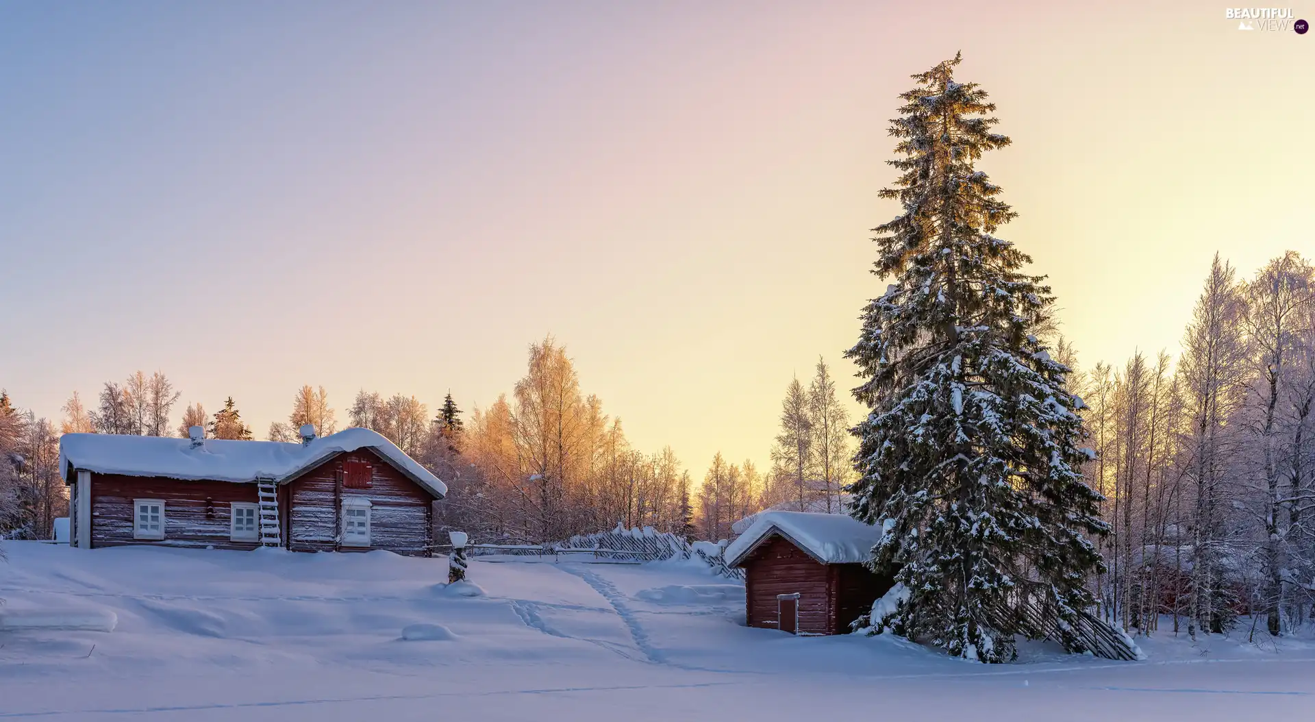 trees, Snowy, Great Sunsets, winter, viewes, Houses