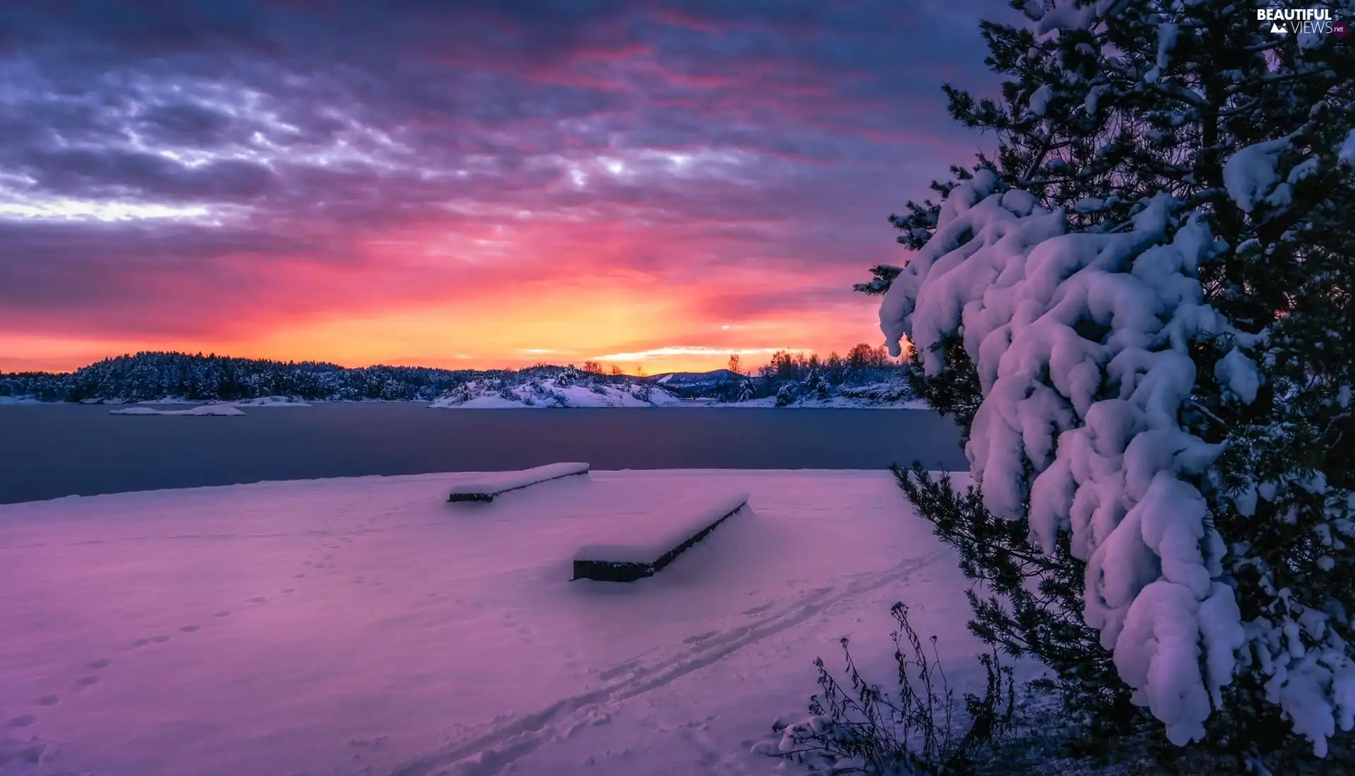 trees, winter, Great Sunsets, clouds, viewes, lake