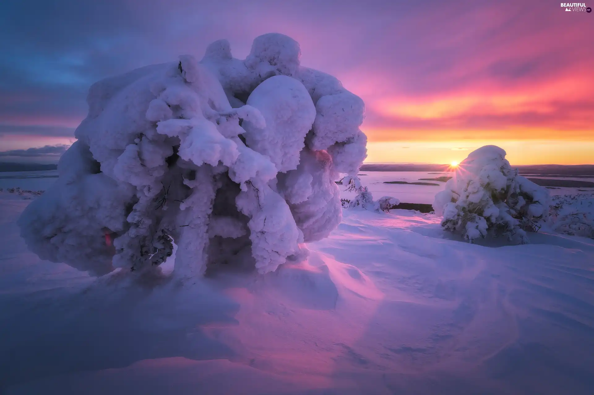 trees, winter, Great Sunsets, clouds, viewes, Snowy