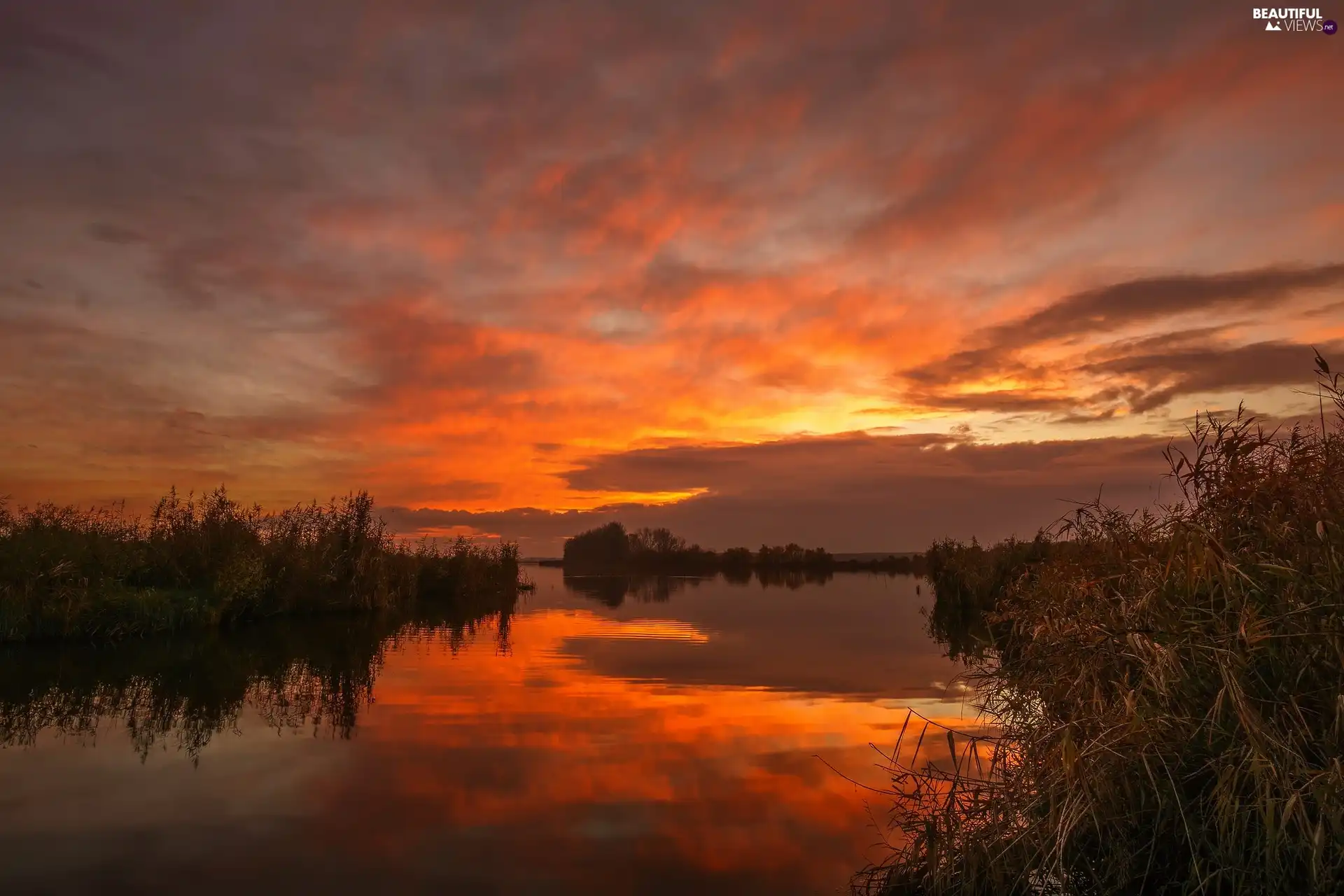 clouds, reflection, Great Sunsets, grass, lake