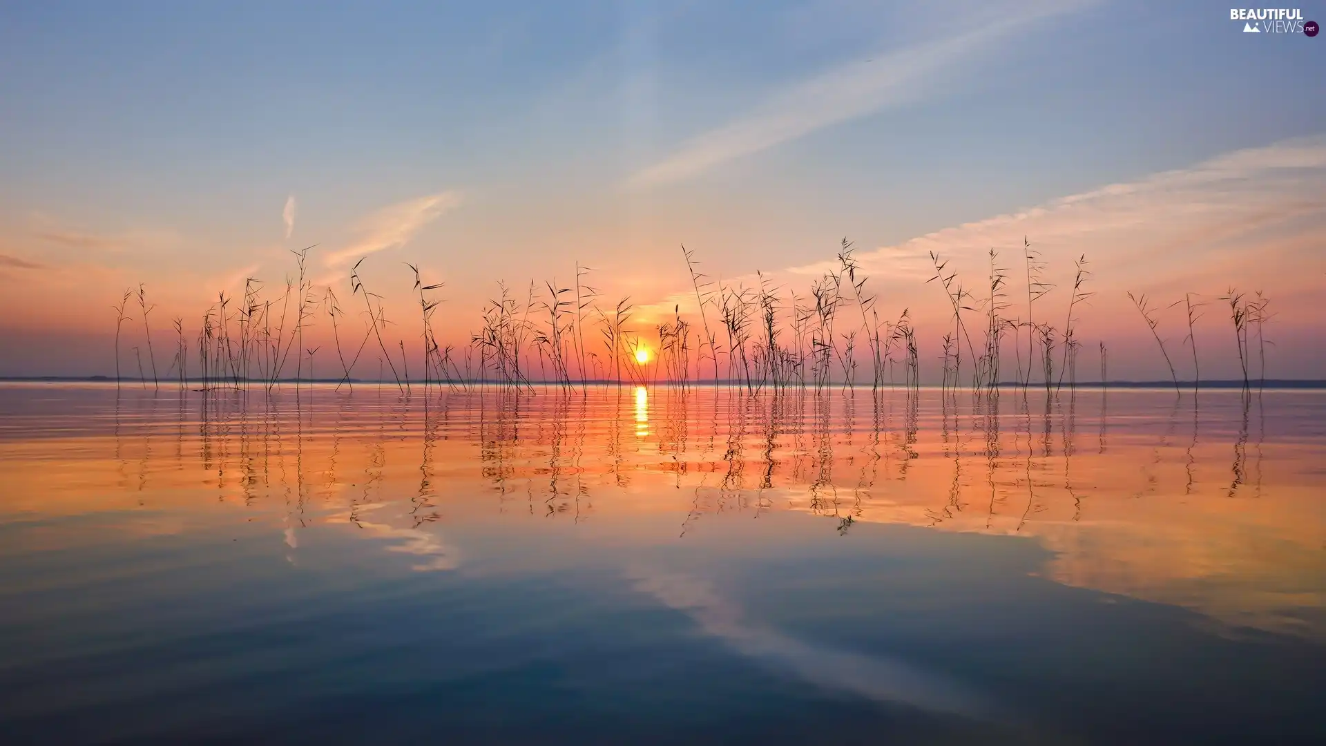 color, Sky, Great Sunsets, grass, lake