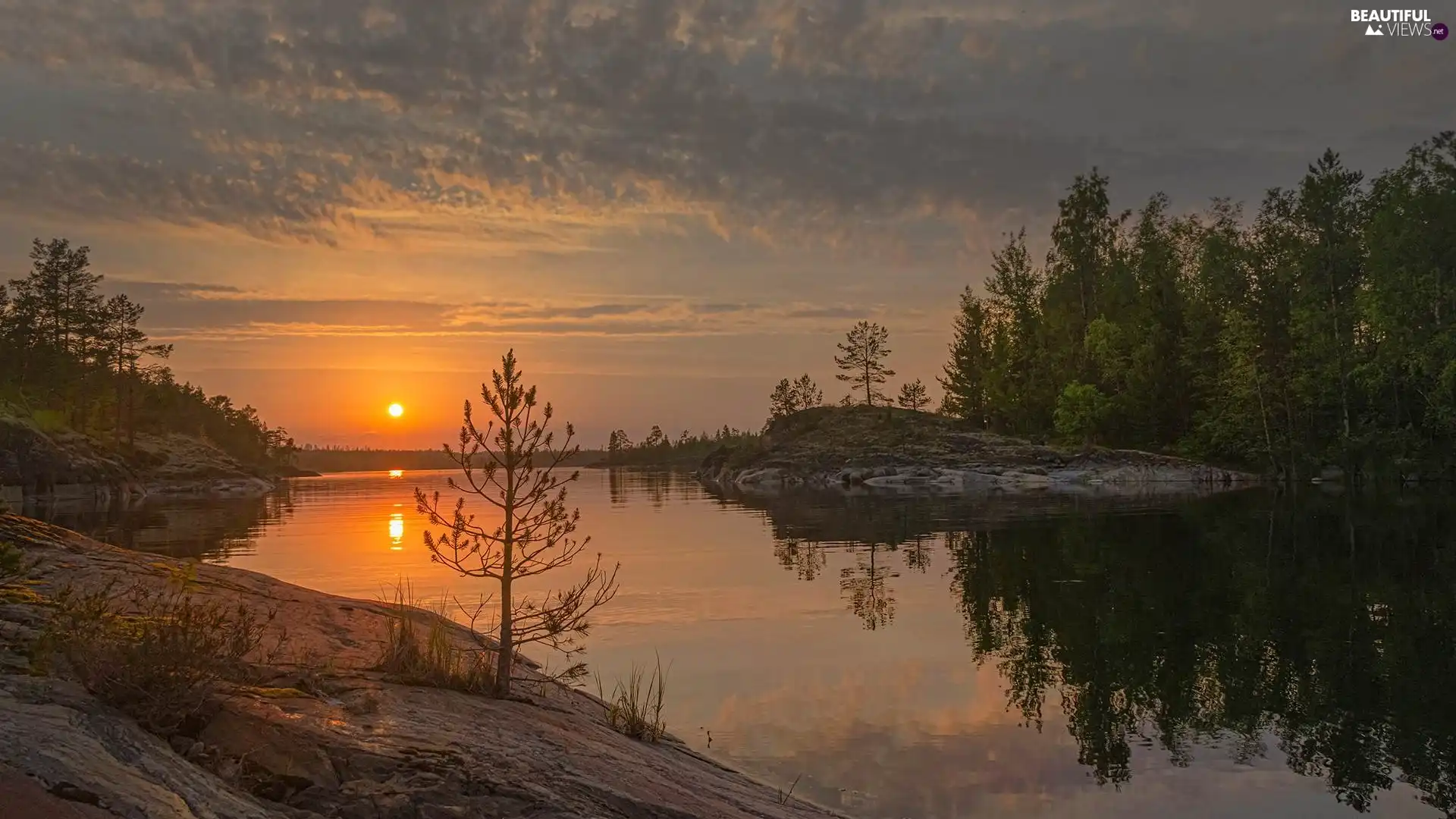 trees, viewes, Great Sunsets, rocks, lake