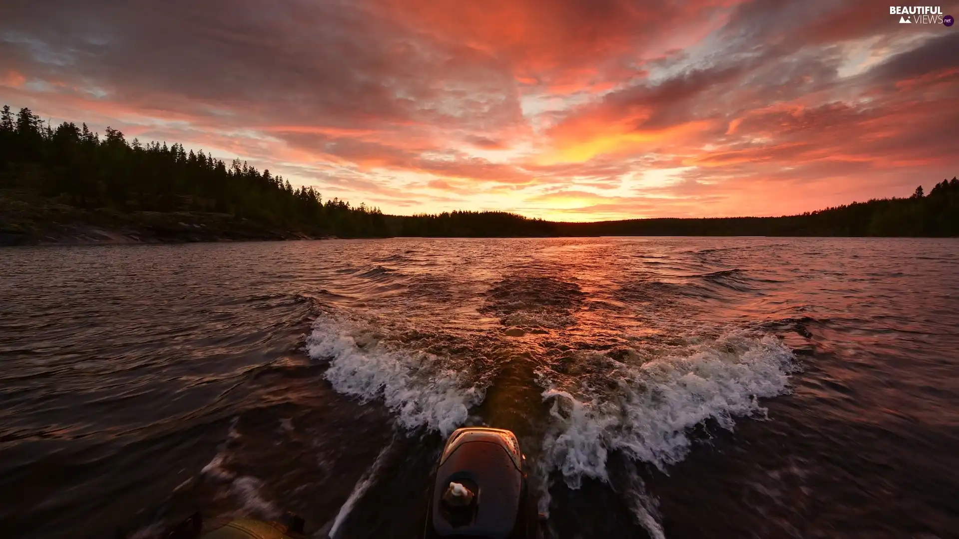 viewes, Waves, Great Sunsets, trees, lake