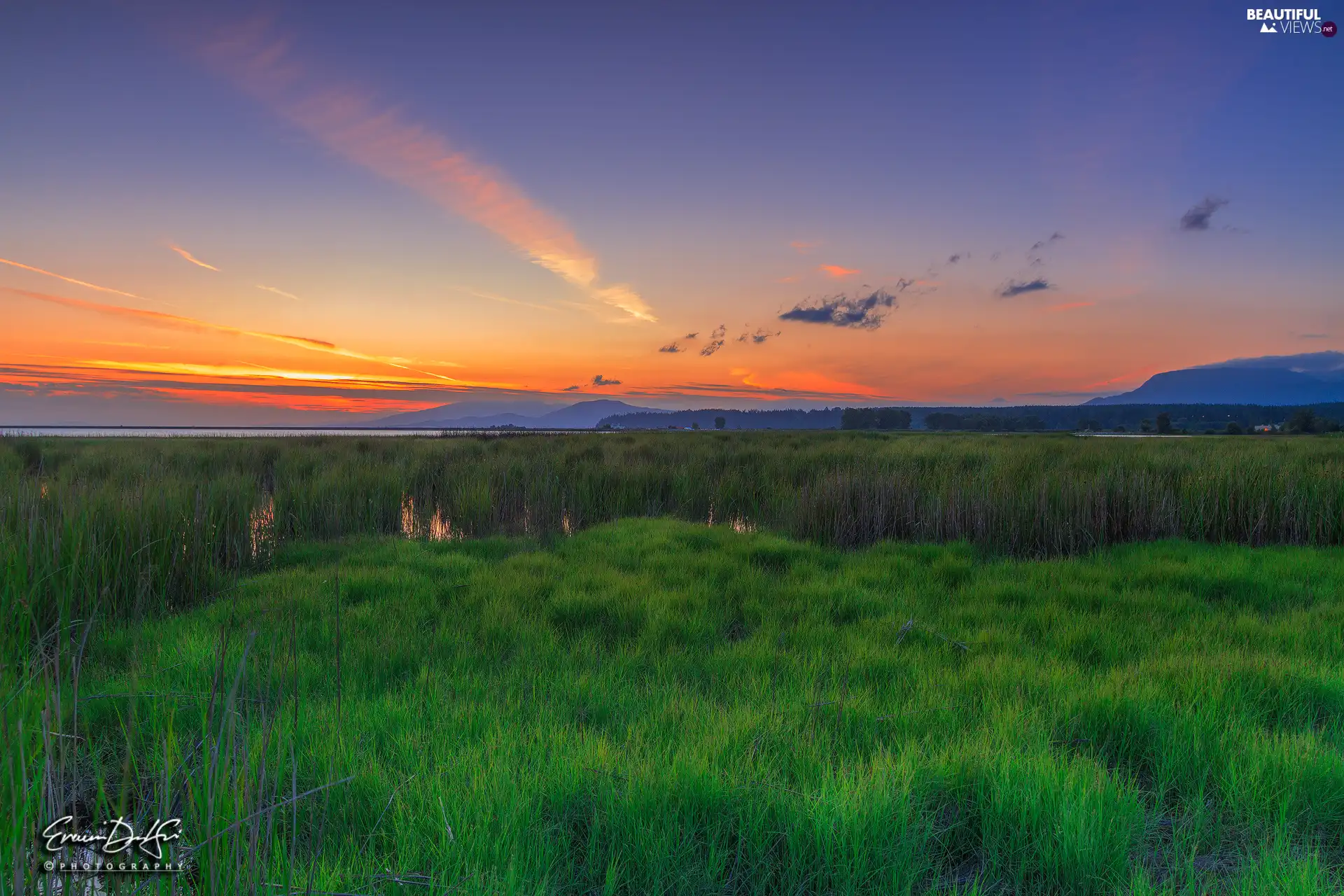 Great Sunsets, marshland, grass, clouds
