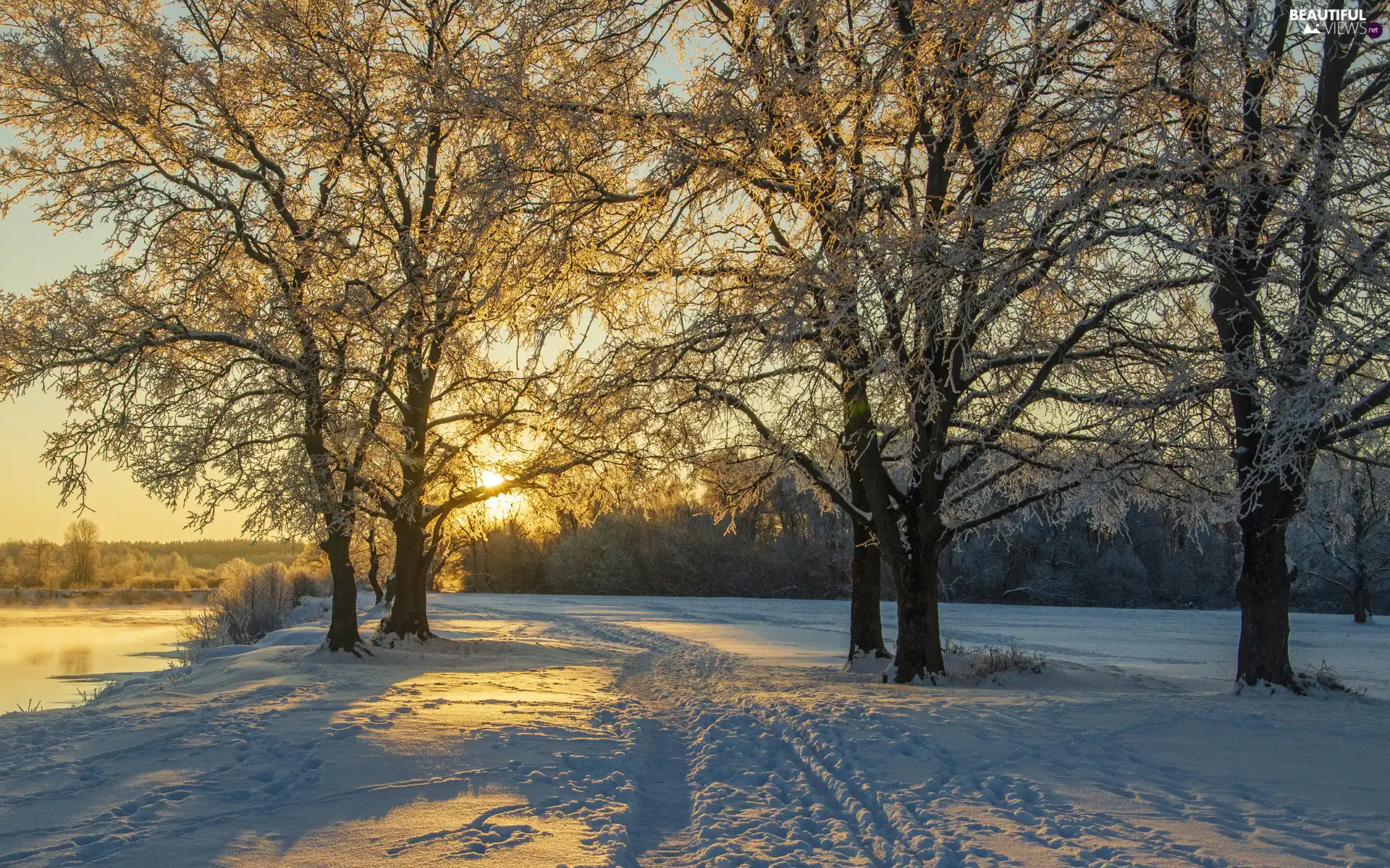 viewes, Snowy, Path, trees, winter, Trodden, Great Sunsets