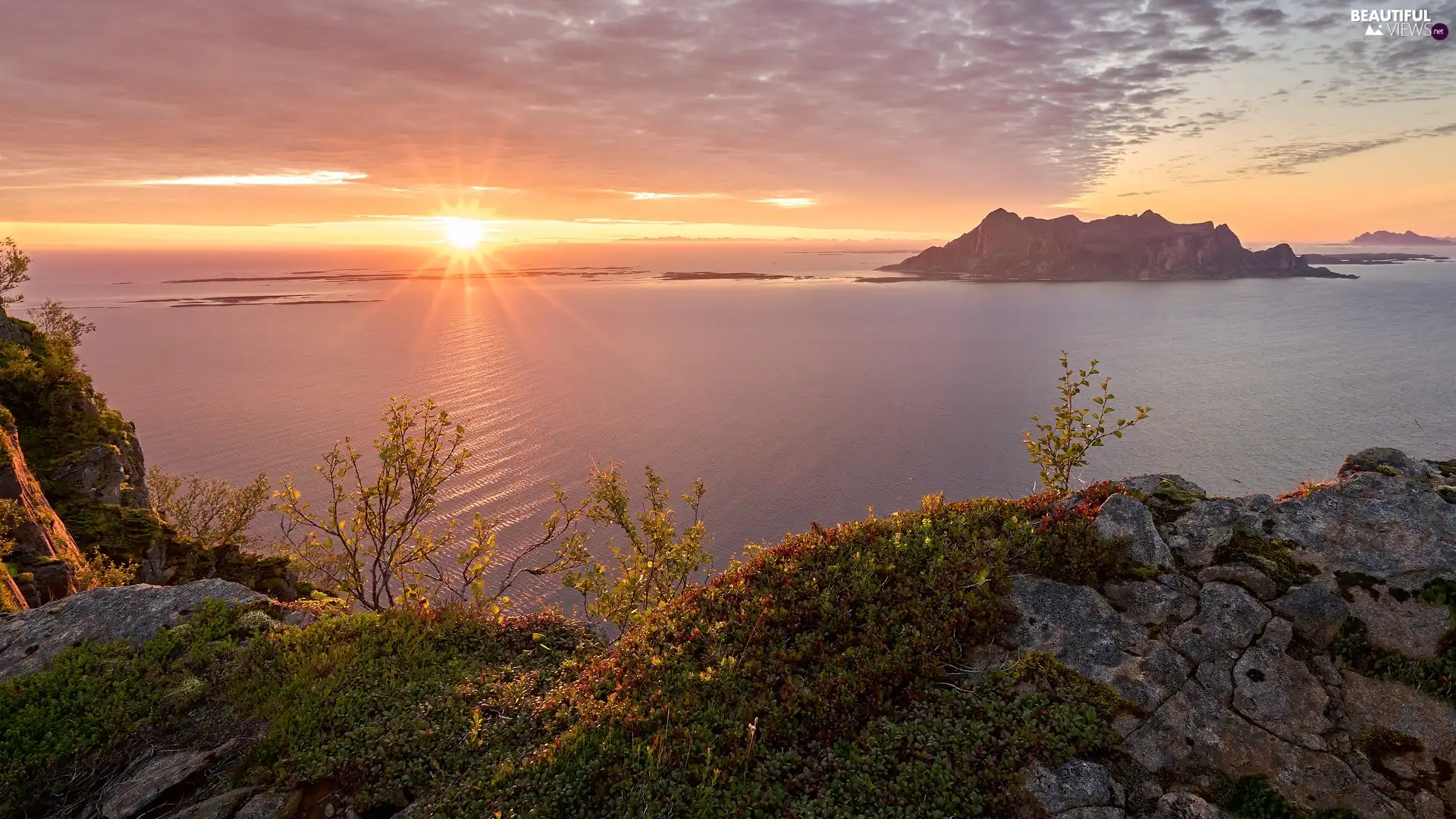 Mountains, Island, Plants, rocks, sea, sun, Great Sunsets