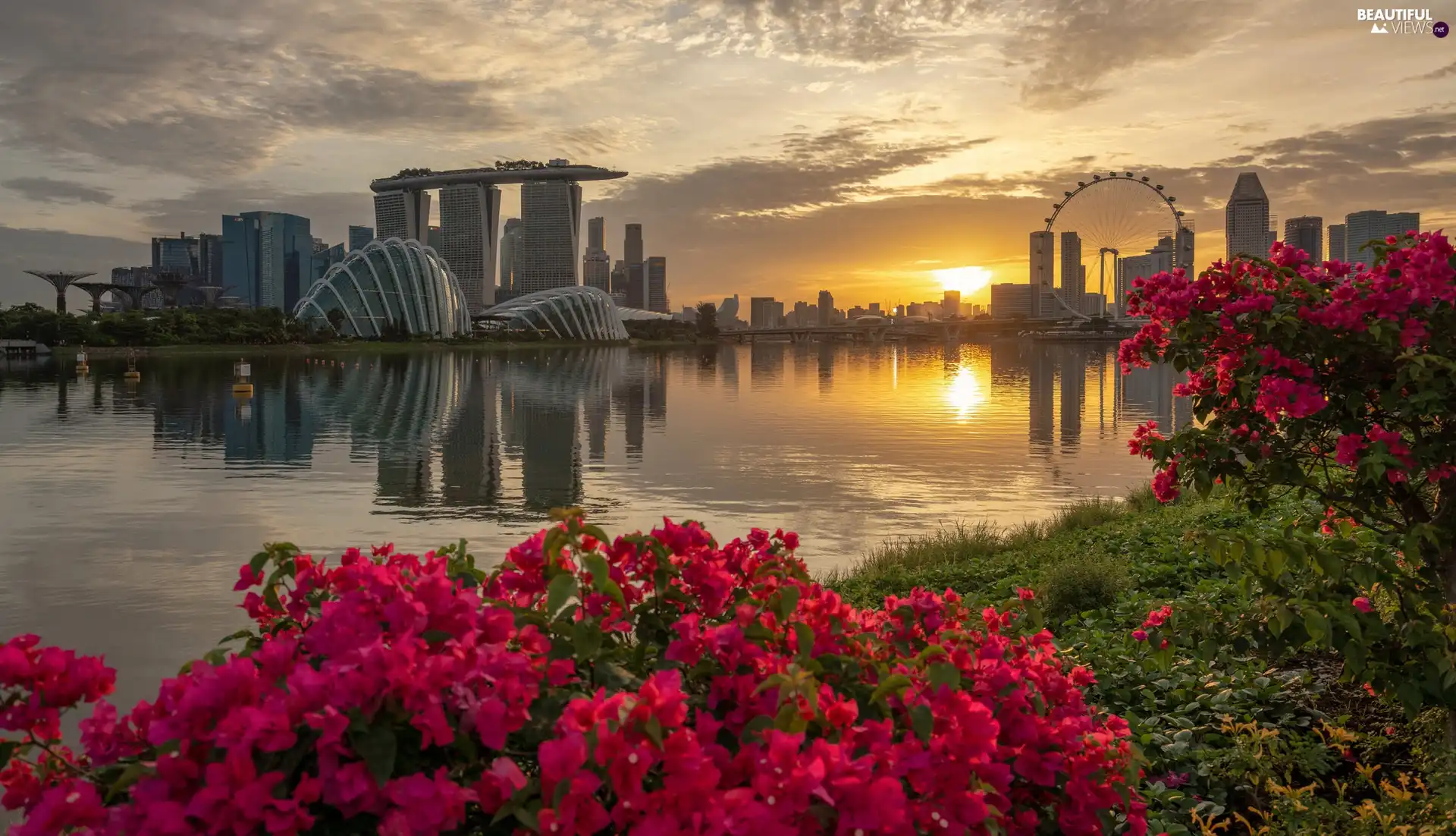 skyscrapers, Singapur, Great Sunsets, bridge, Flowers, Hotel Marina Bay Sands, Marina Bay, River