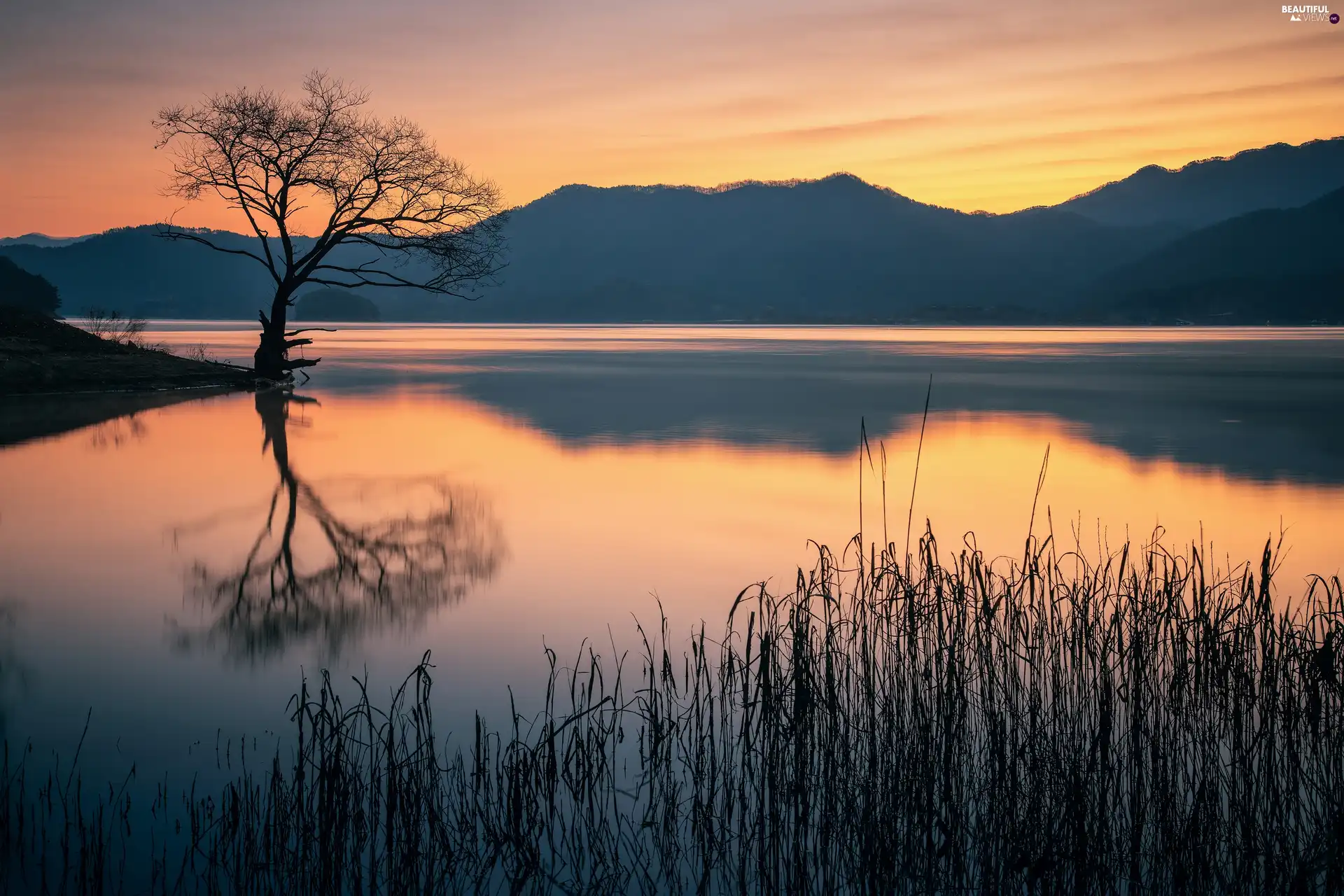 viewes, Mountains, scrub, trees, lake, grass, Great Sunsets