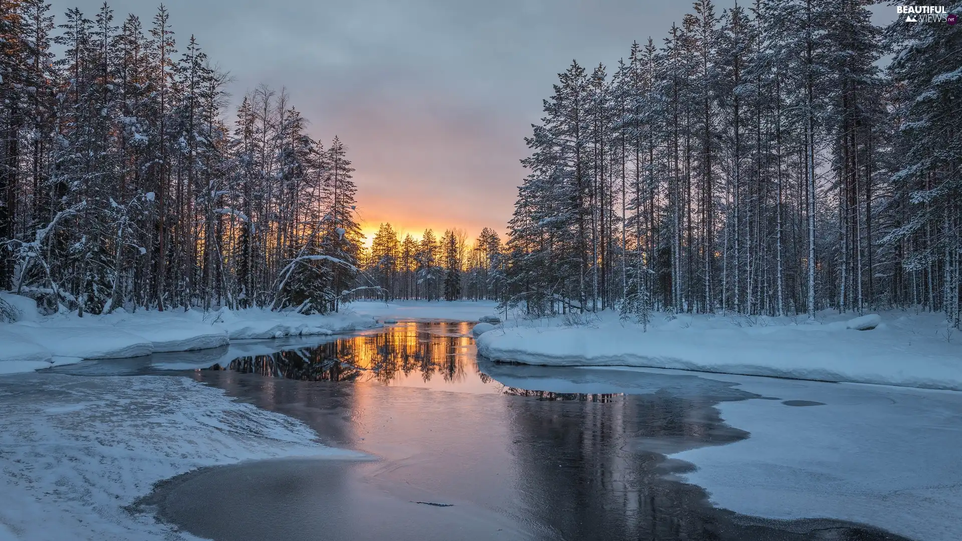 viewes, River, snow, trees, winter, forest, Great Sunsets