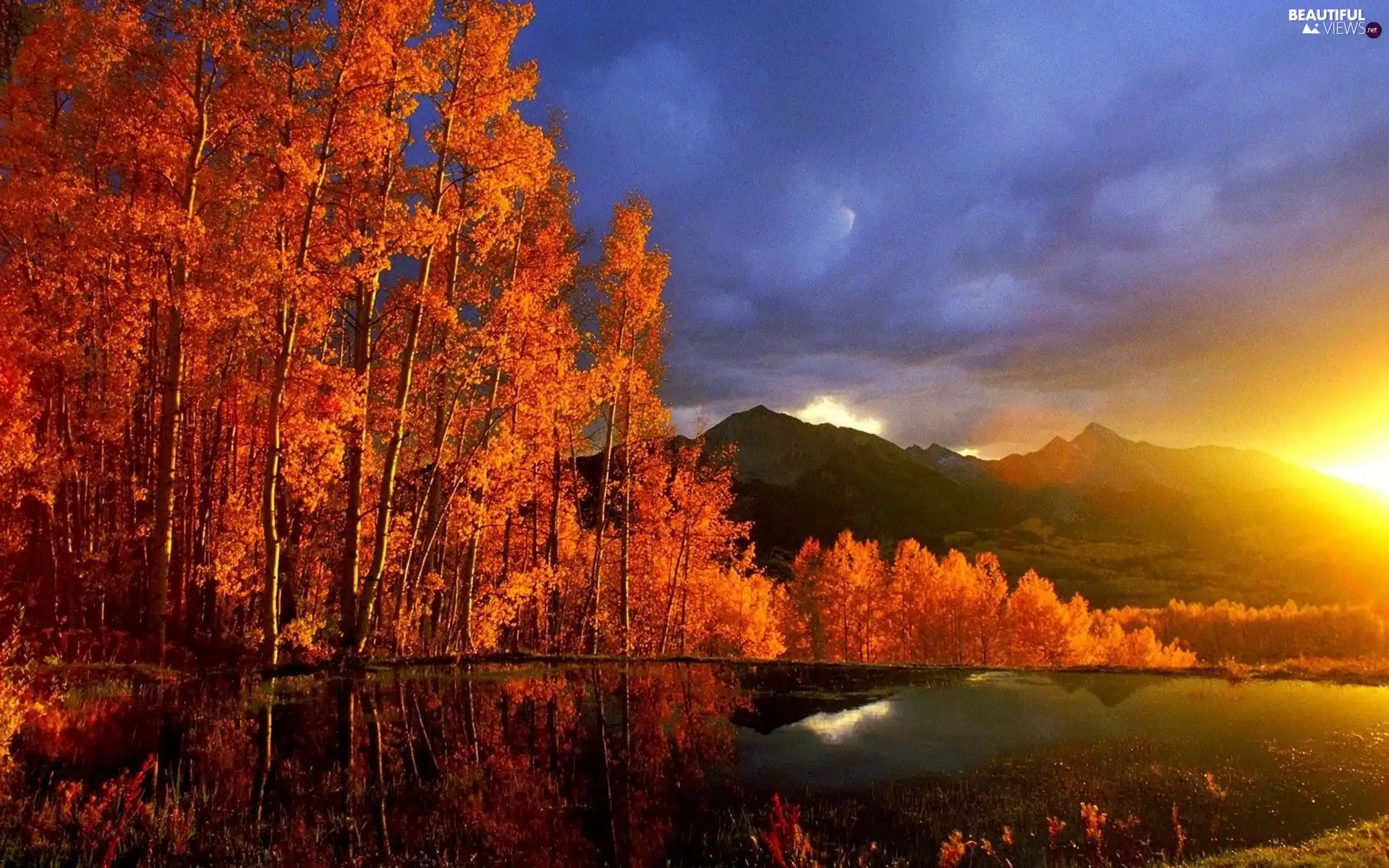viewes, lakes, Sunsets, sun, Mountains, trees