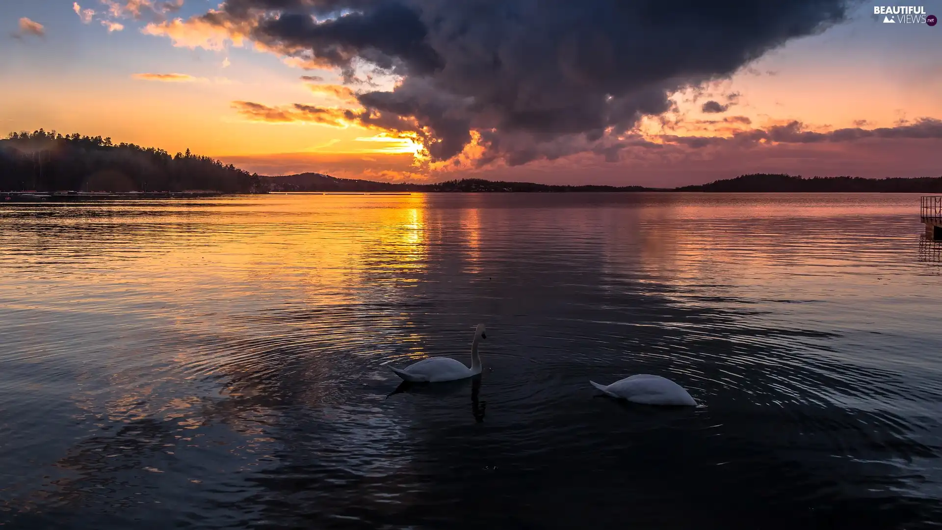 dark, lake, Two cars, Swan, clouds, Great Sunsets