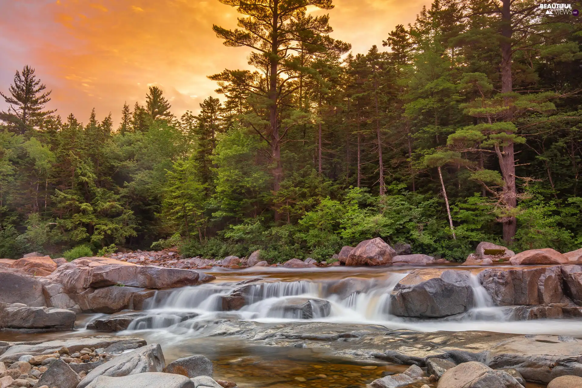 forest, boulders, viewes, Stones, River, trees, Great Sunsets