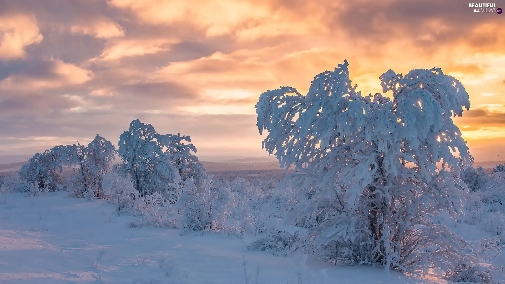 Snowy, Lapland, viewes, winter, Finland, trees, Great Sunsets