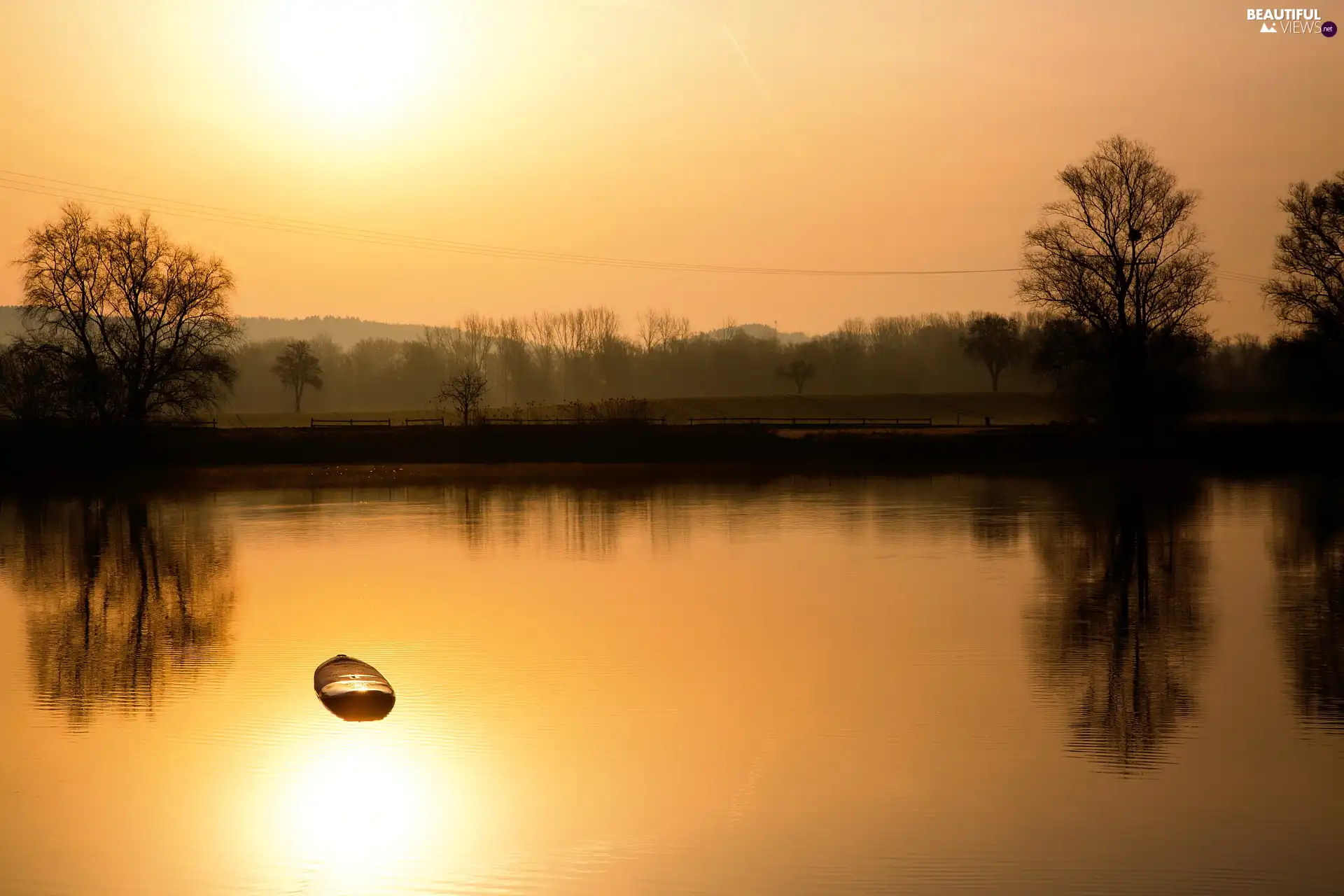 trees, board, Sunrise, surf, lake, viewes, morning