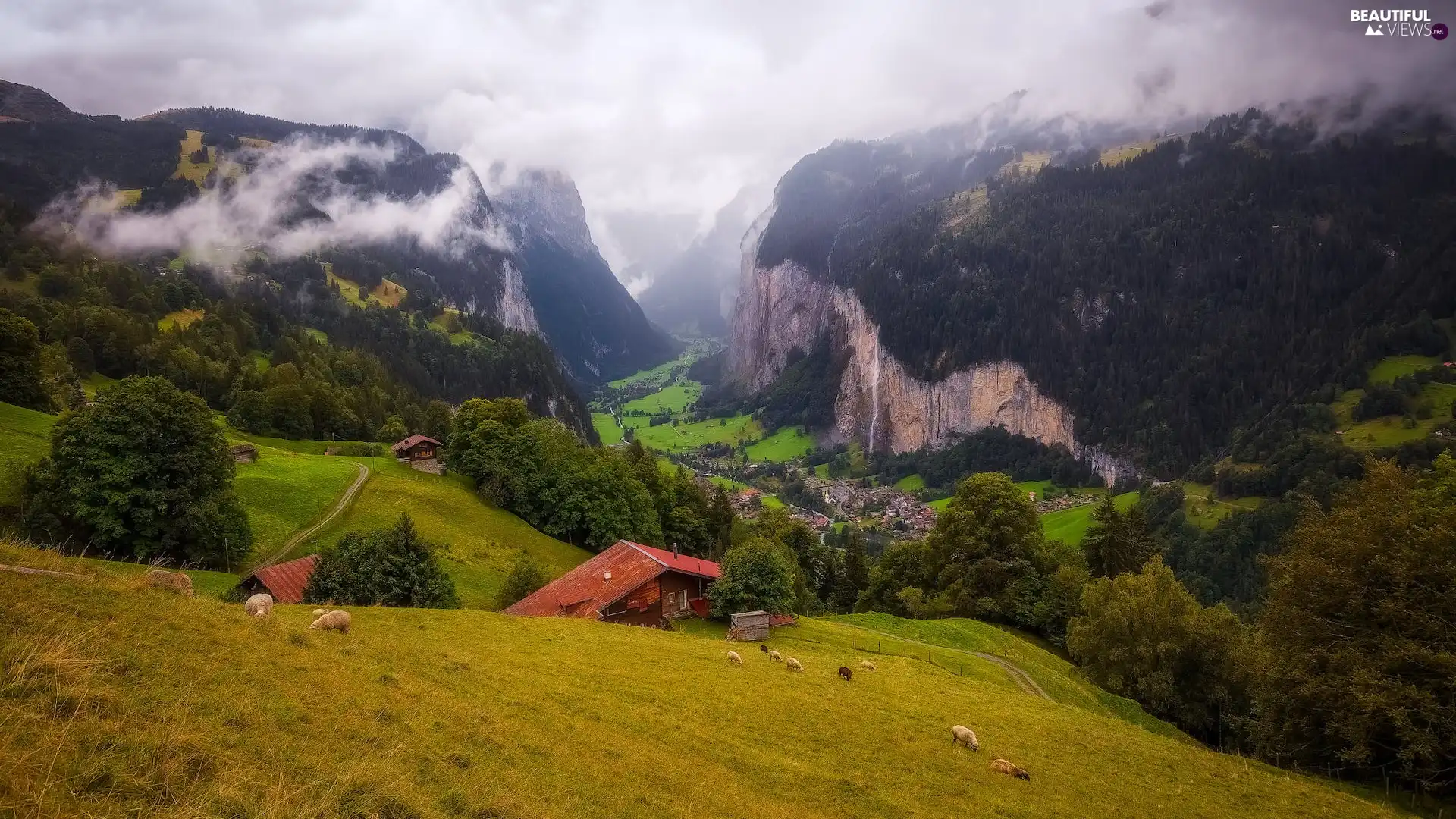 Meadow, Mountains, Lauterbrunnental Valley, viewes, Fog, Switzerland, Alps, Sheep, trees, Houses