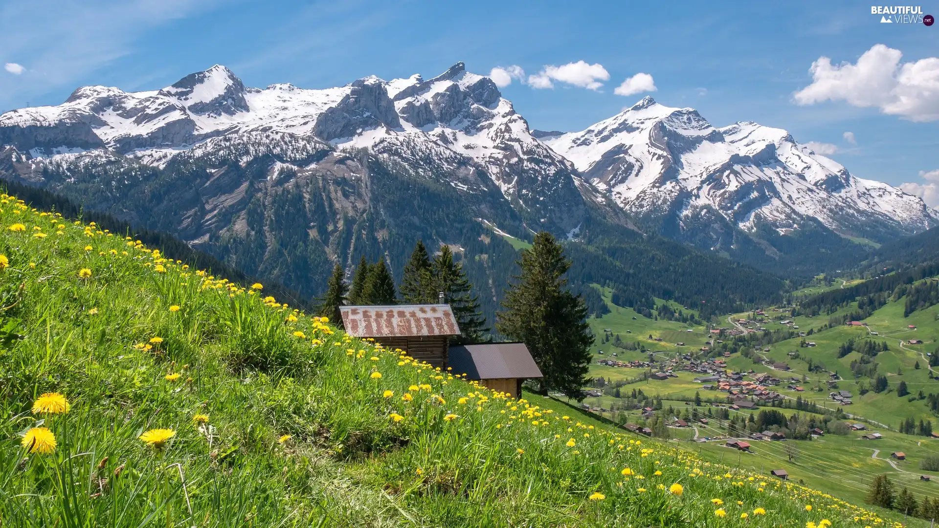Meadow, Mountains, Houses, Switzerland, Valley, Bernese Alps