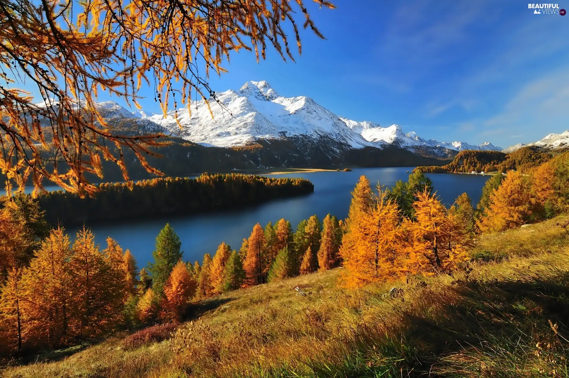 Mountains, woods, Switzerland, lake