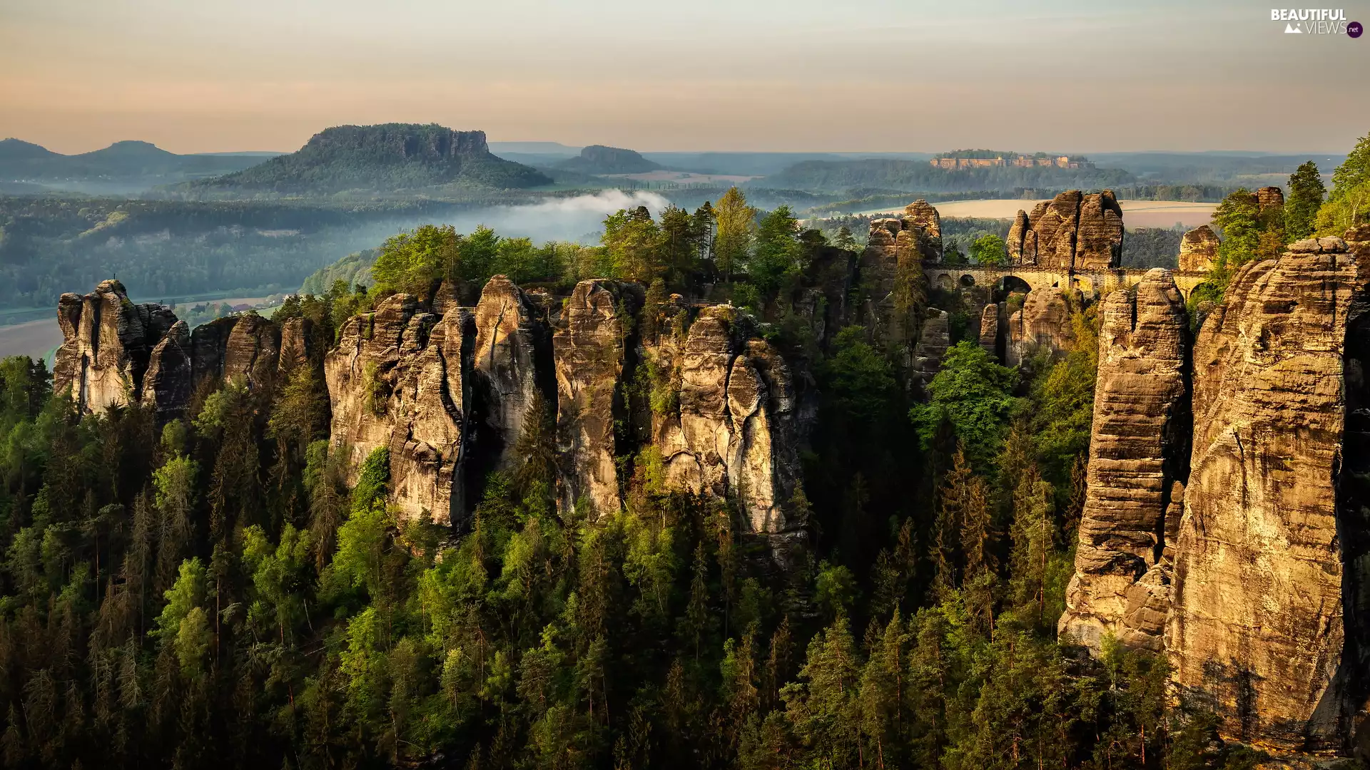 trees, rocks, Děčínská vrchovina, Bastei, Saxon Switzerland National Park, viewes, Germany