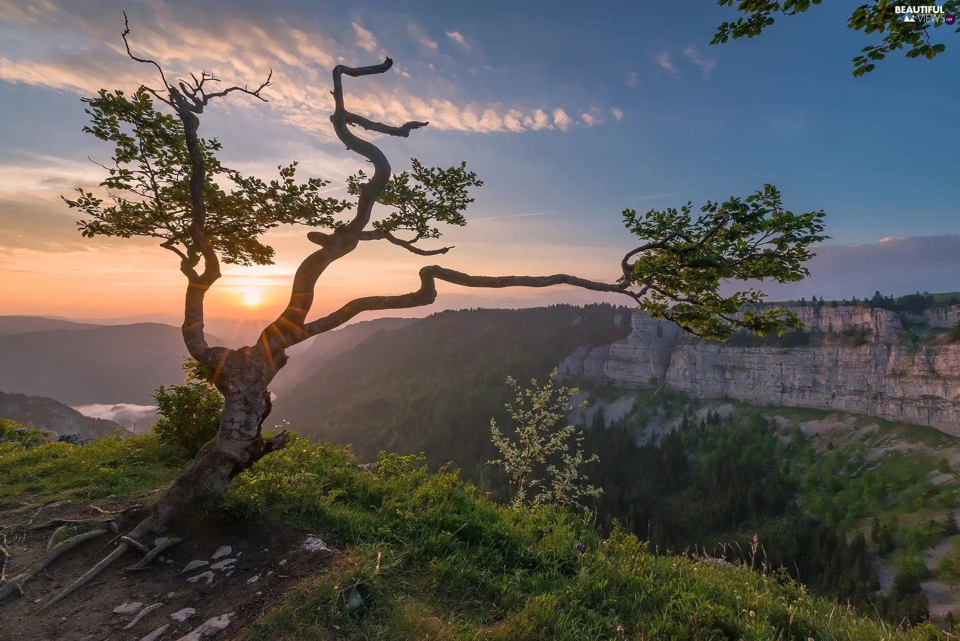 Val de Travers Valley, Neuchatel Canton, clouds, Switzerland, Sunrise, Creux du Van Attraction, rocks, trees