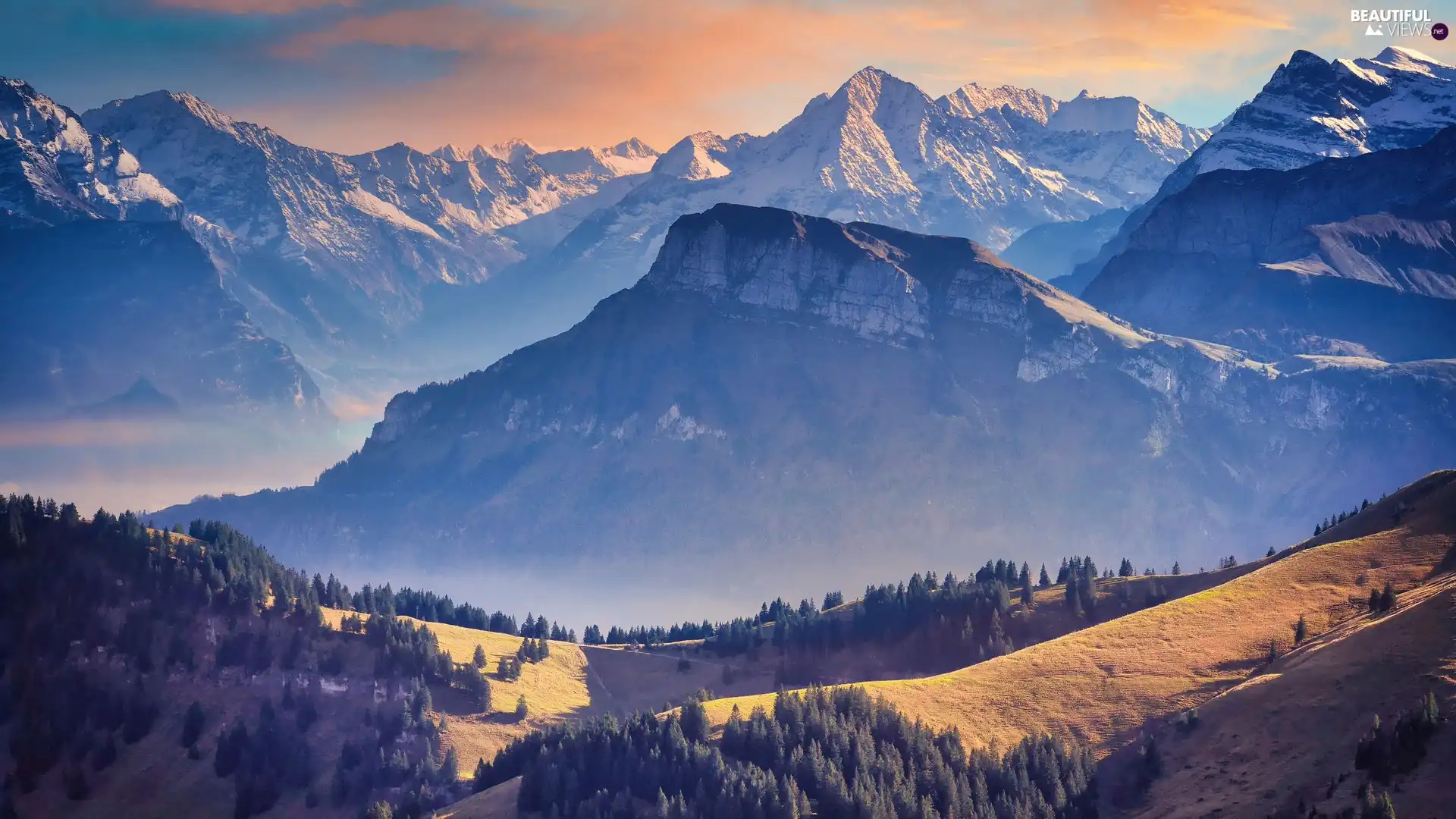 Valley, Mountains, viewes, Switzerland, trees, Swiss Alps