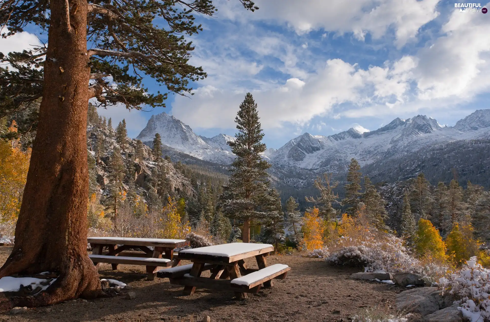 tables, Mountains, forest