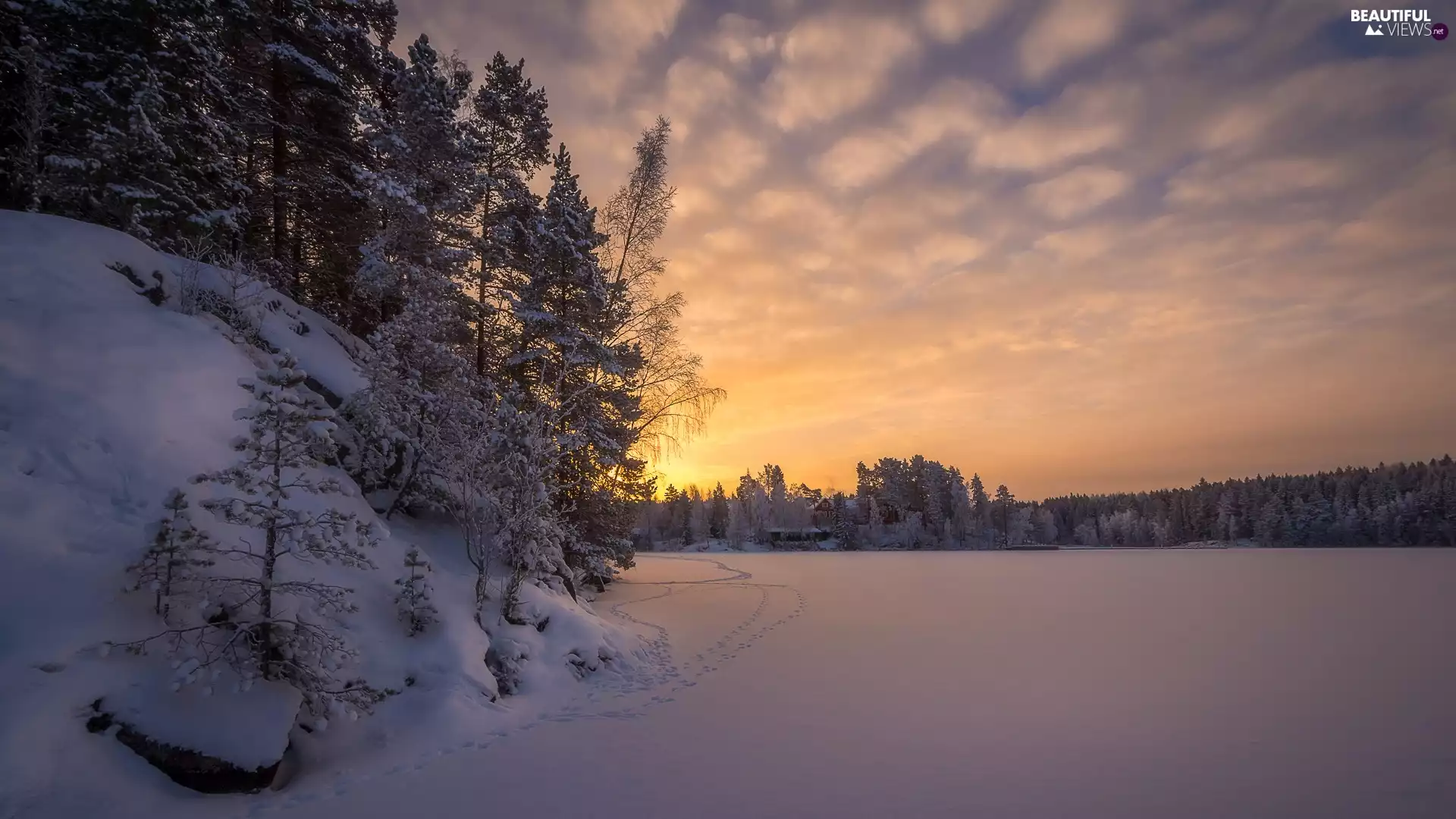 Sunrise, traces, viewes, Pirkanmaa Region, Houses, forest, Tampere, winter, frozen, Finland, dawn, trees, Näsijärvi Lake