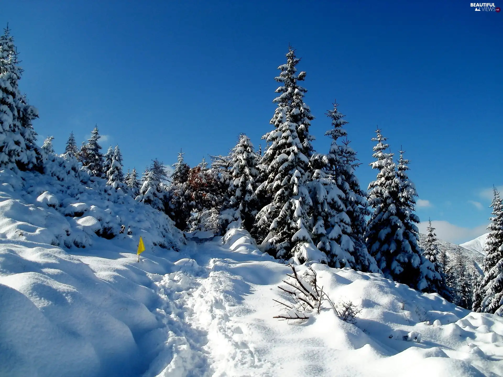 Tatras, Mountains, winter