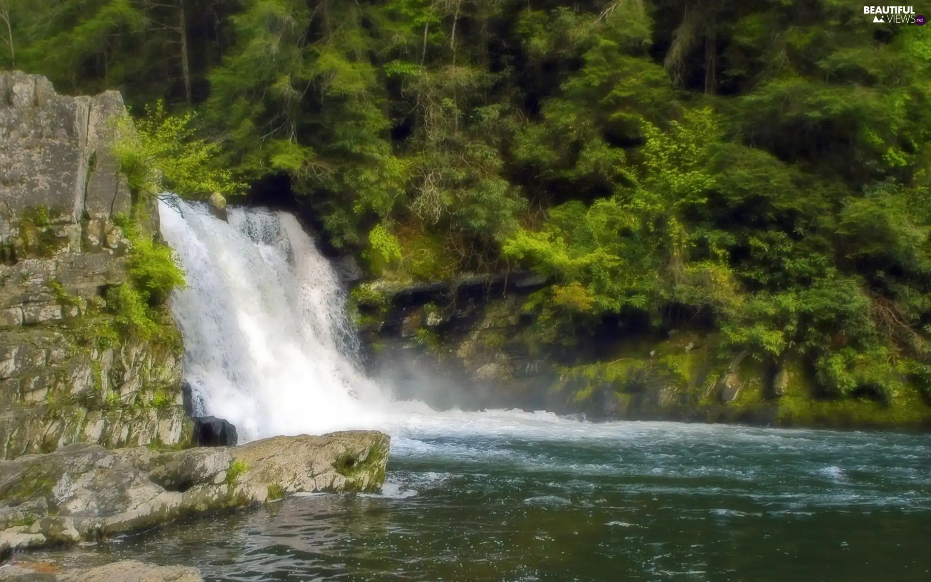 waterfall, forest, Tennessee, River