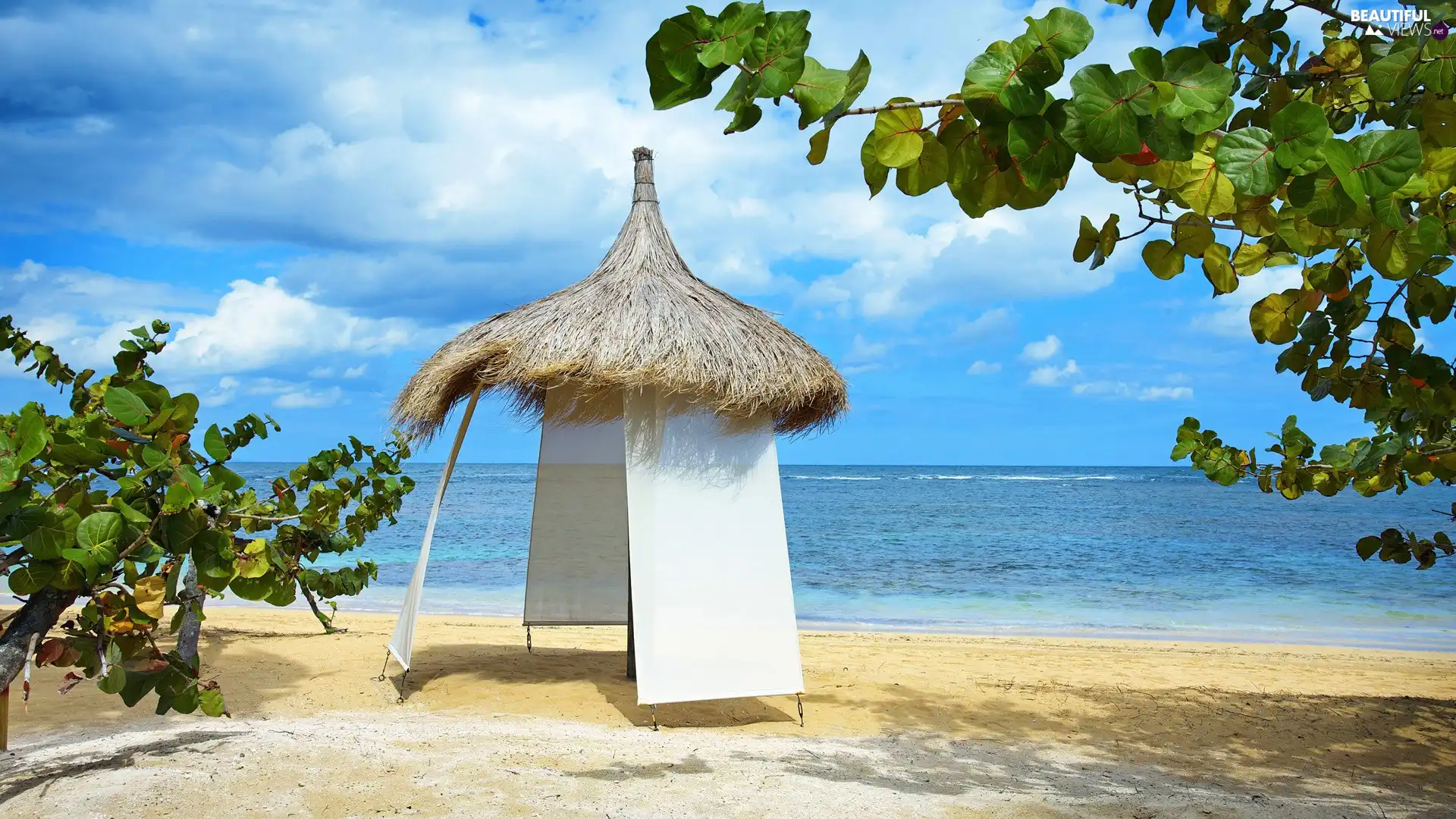 Tent, Beaches, sea