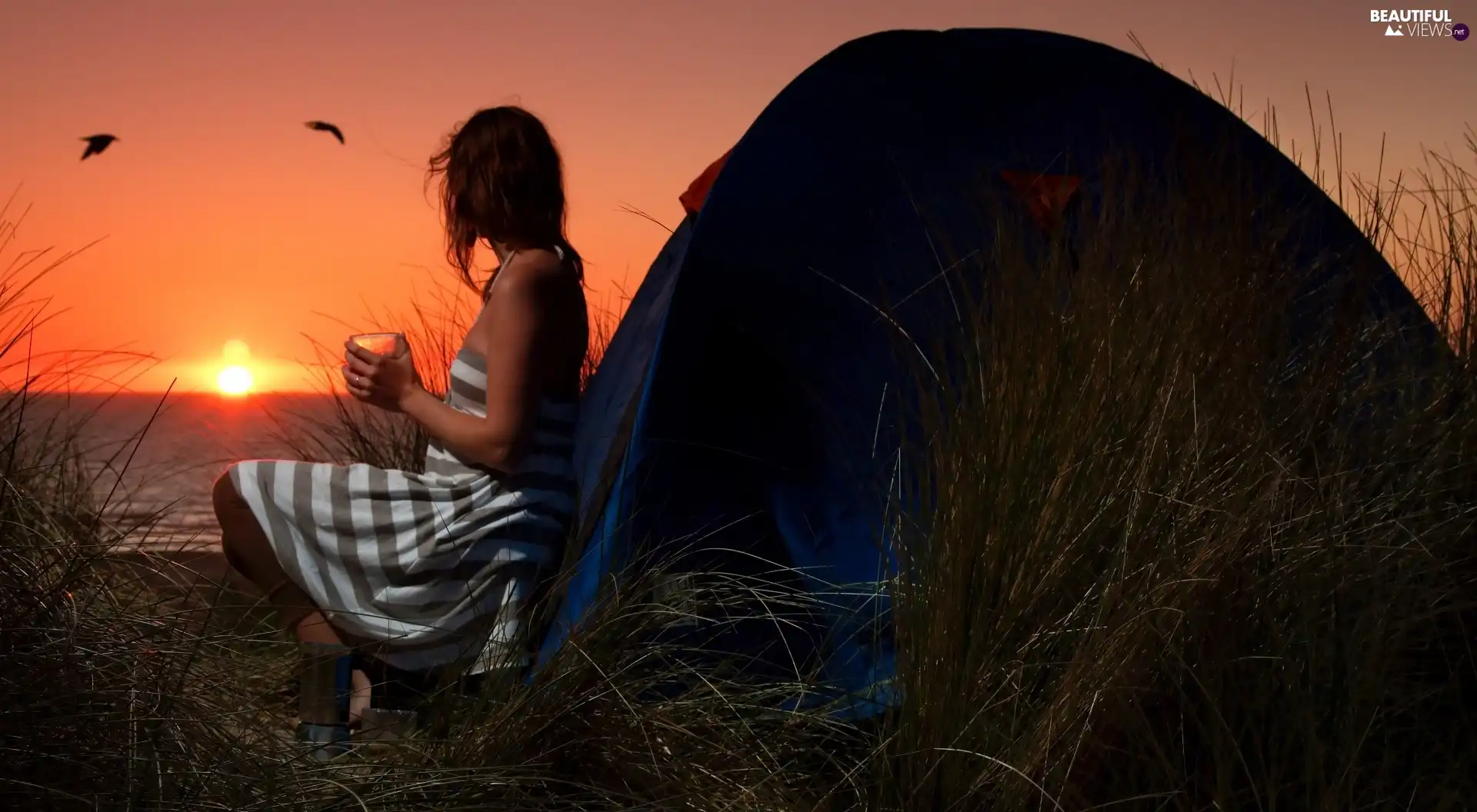 Great Sunsets, girl, Tent