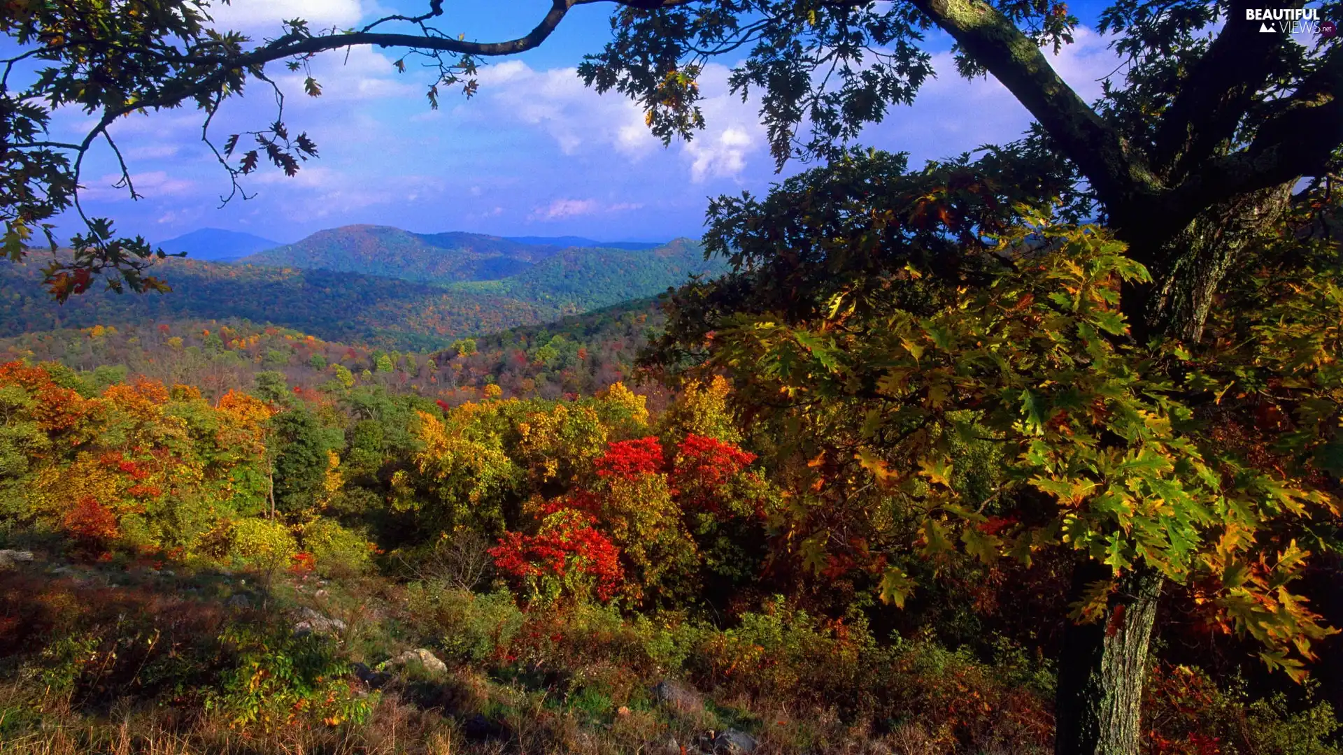 autumn, viewes, The Hills, trees