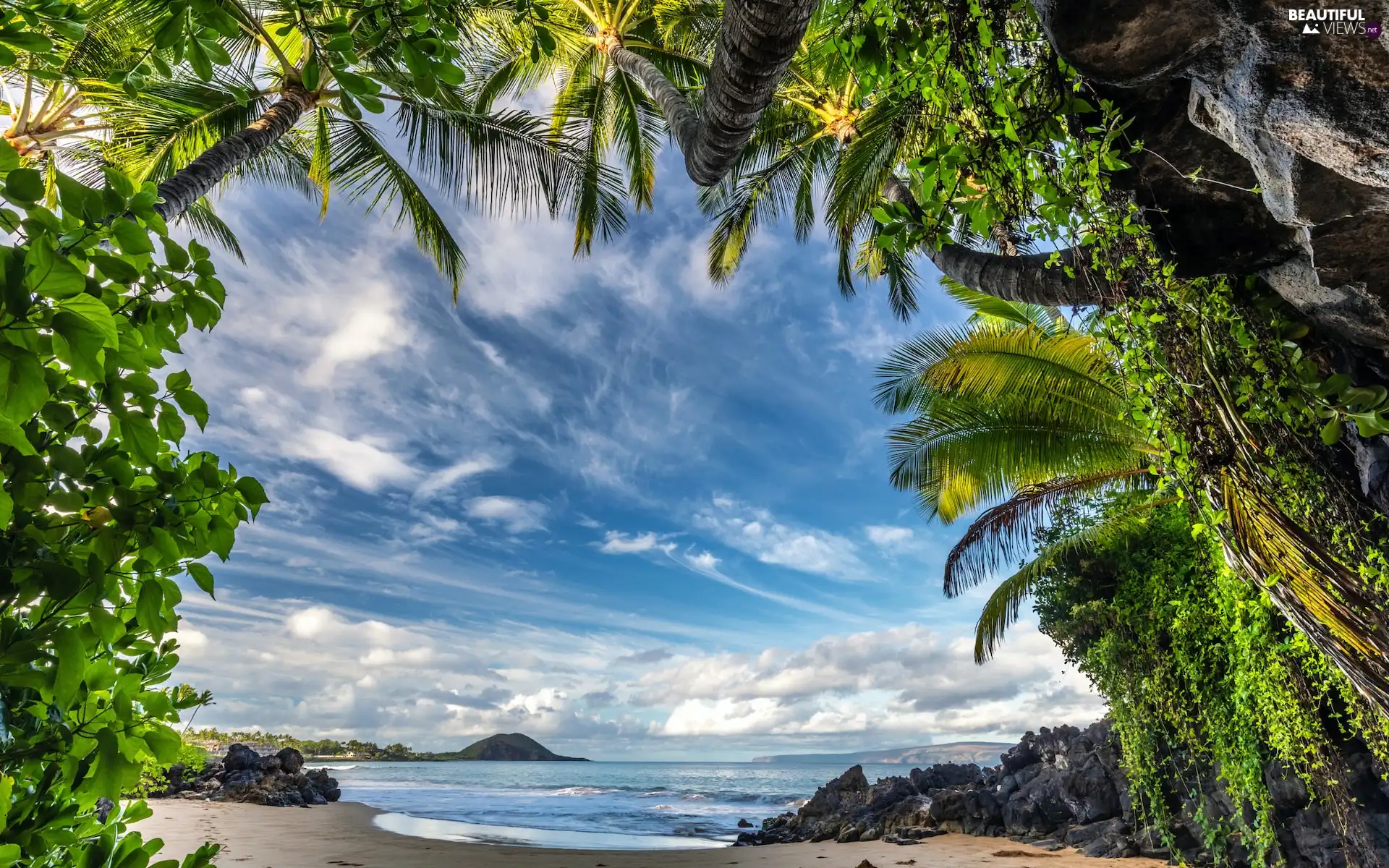 Aloha State Hawaje, The United States, Maui, Beaches, Sky, clouds, VEGETATION, rocks, Palms
